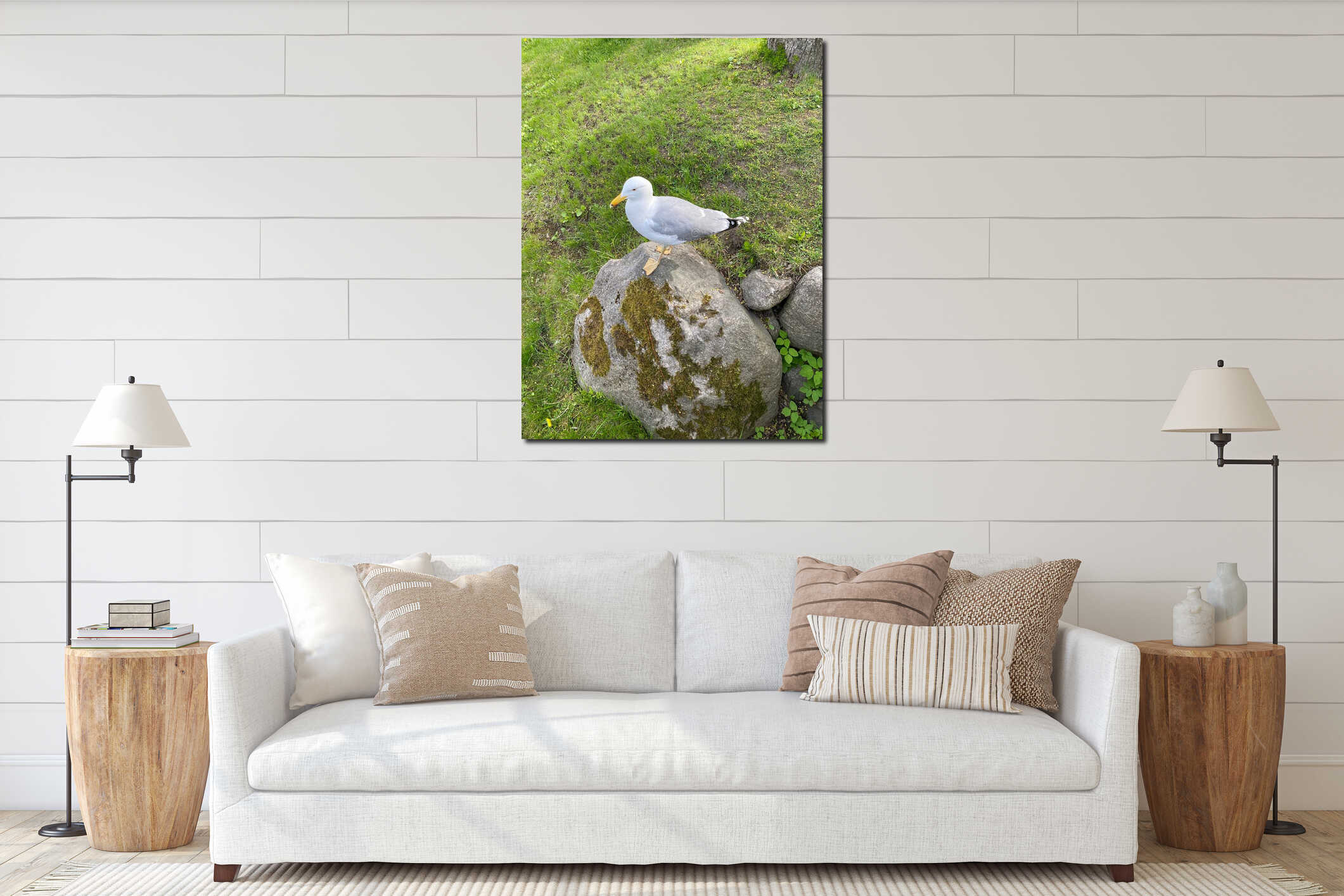 Cormorant sitting on a mossy stone in the park. interior mockup