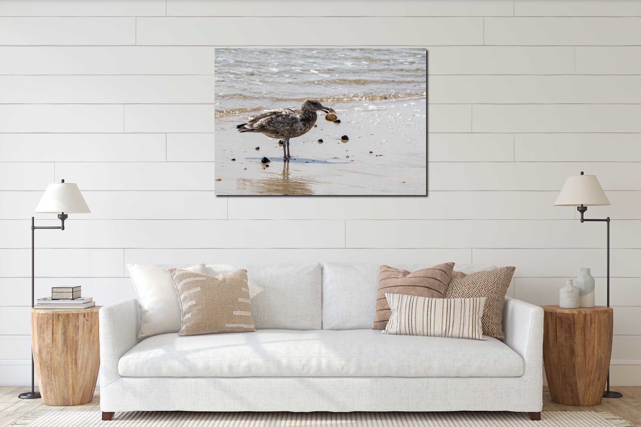 Brown and white seagull standing at the waters edge with a clam shell in its beak interior mockup
