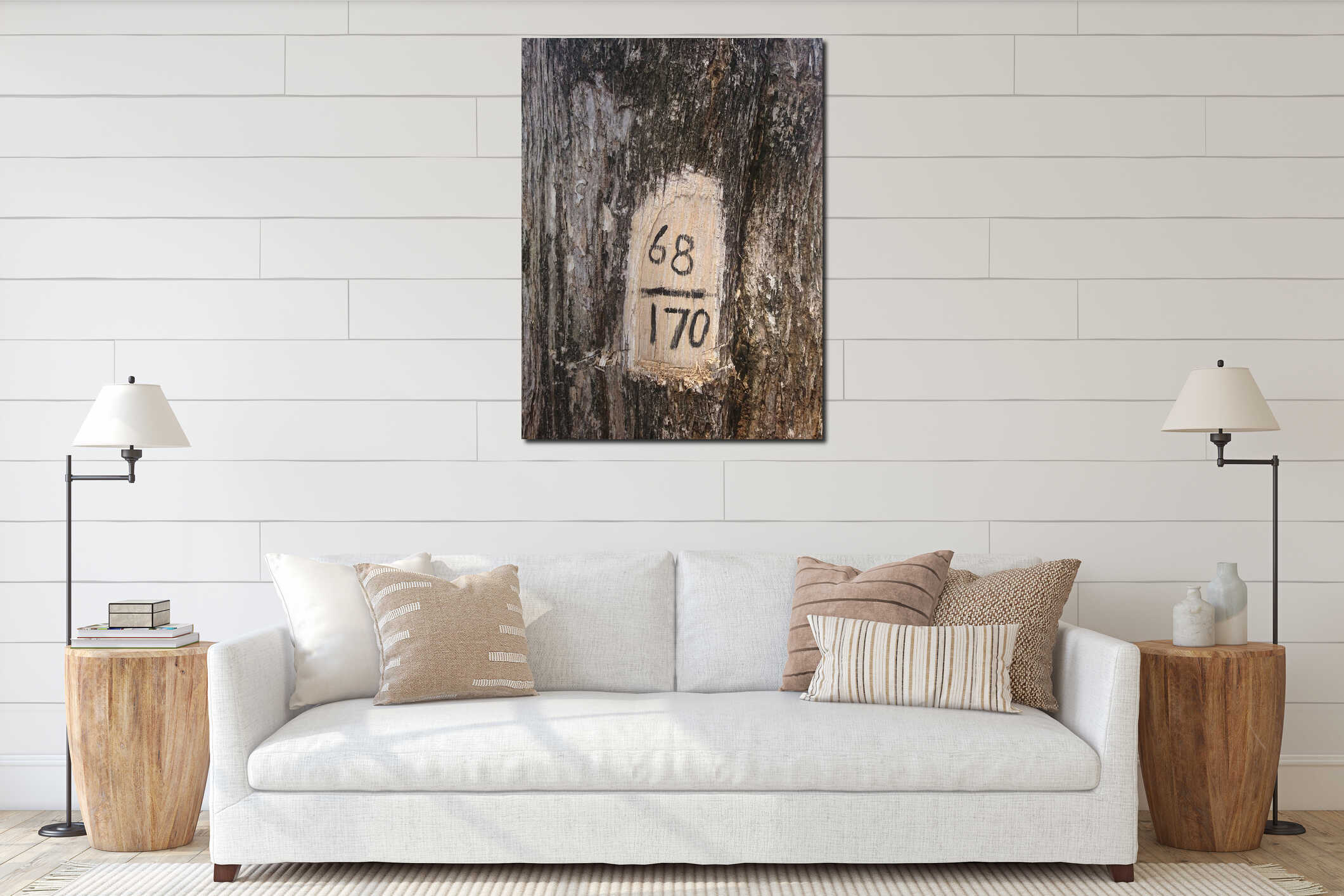 The size of the teak tree written as a marker interior mockup