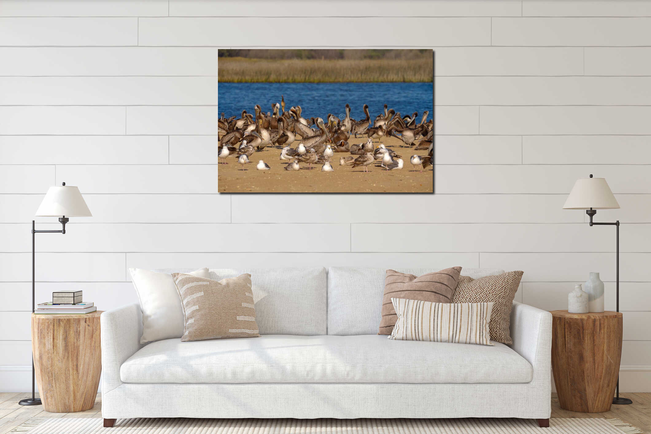 Colony of sea birds, pelicans and seagulls, on the beach close to the river interior mockup