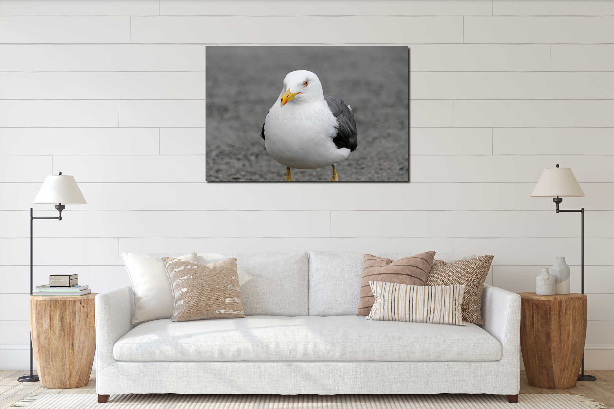 Beautiful seagull with a bright yellow beak perched on the ground interior mockup