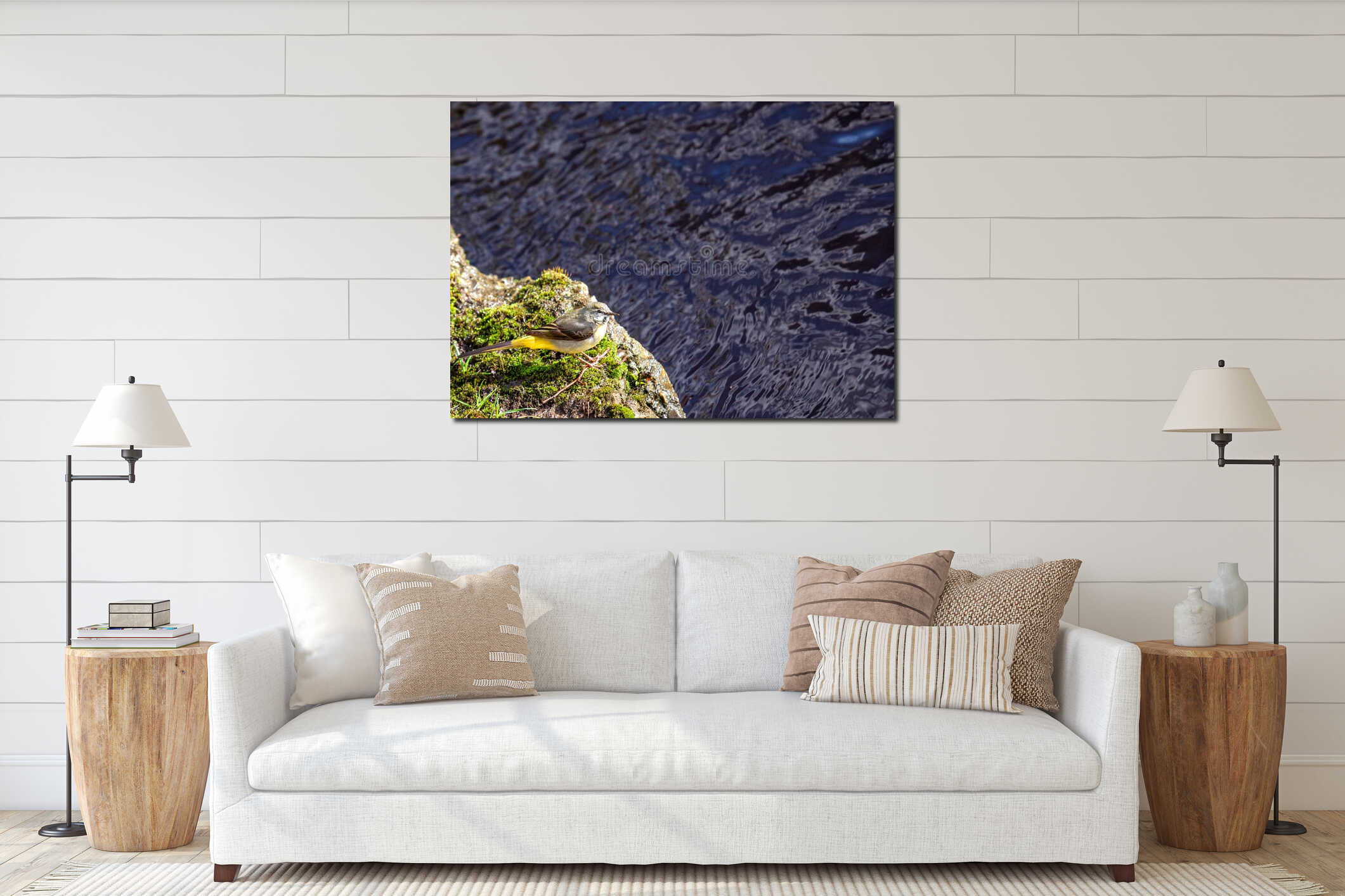 Grey Wagtail (Motacilla cinerea) in Dublin, Ireland interior mockup