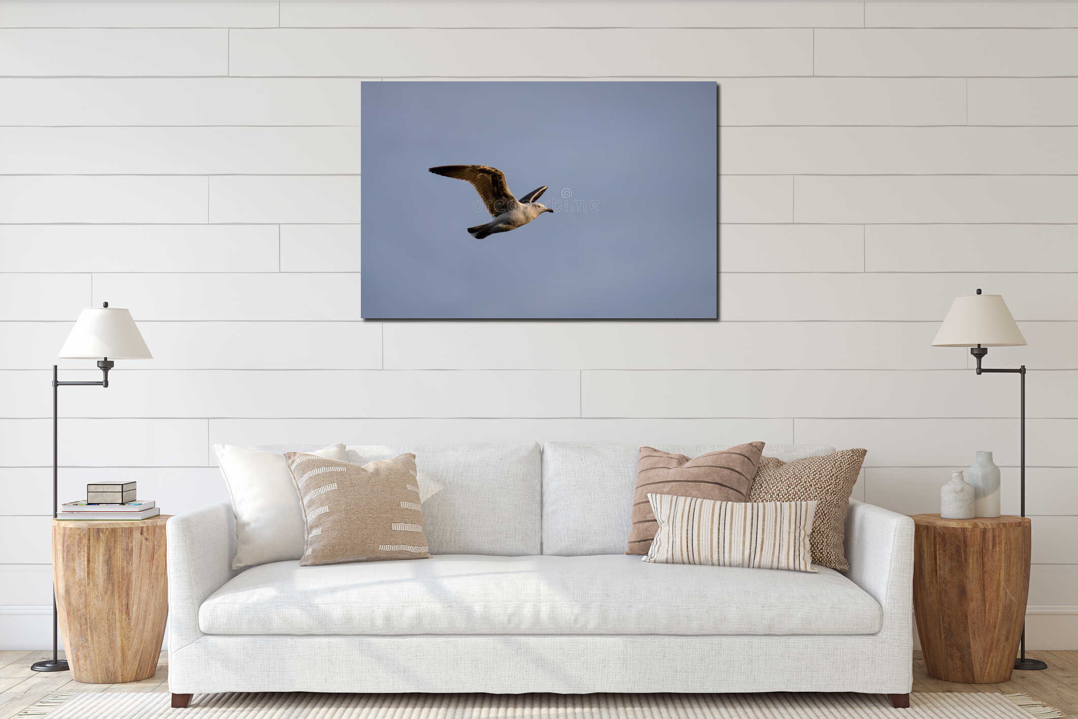Young seagull flying at sunset over a blue sky interior mockup