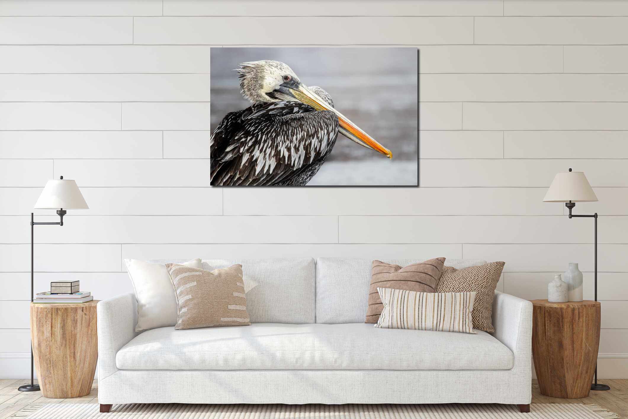 Mature pelican boasting an impressive bright orange beak interior mockup