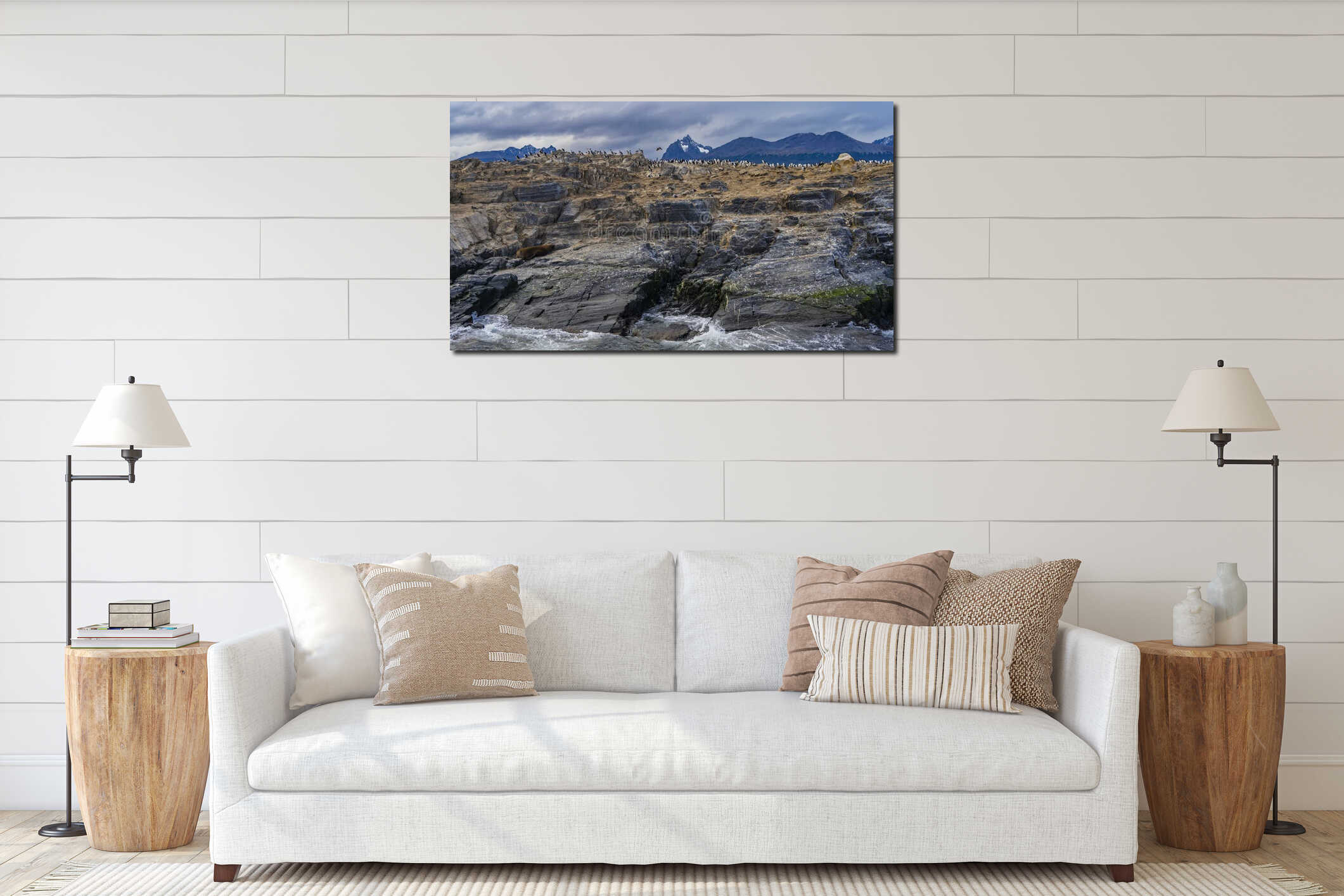 Many cormorants settled on a rocky island in the Beagle Channel. interior mockup