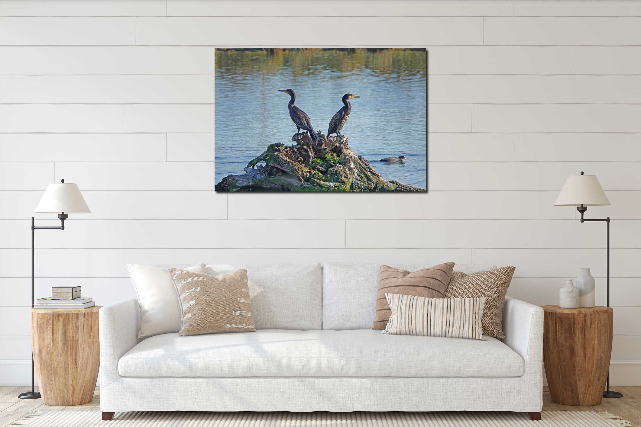 Two great cormorants interior mockup