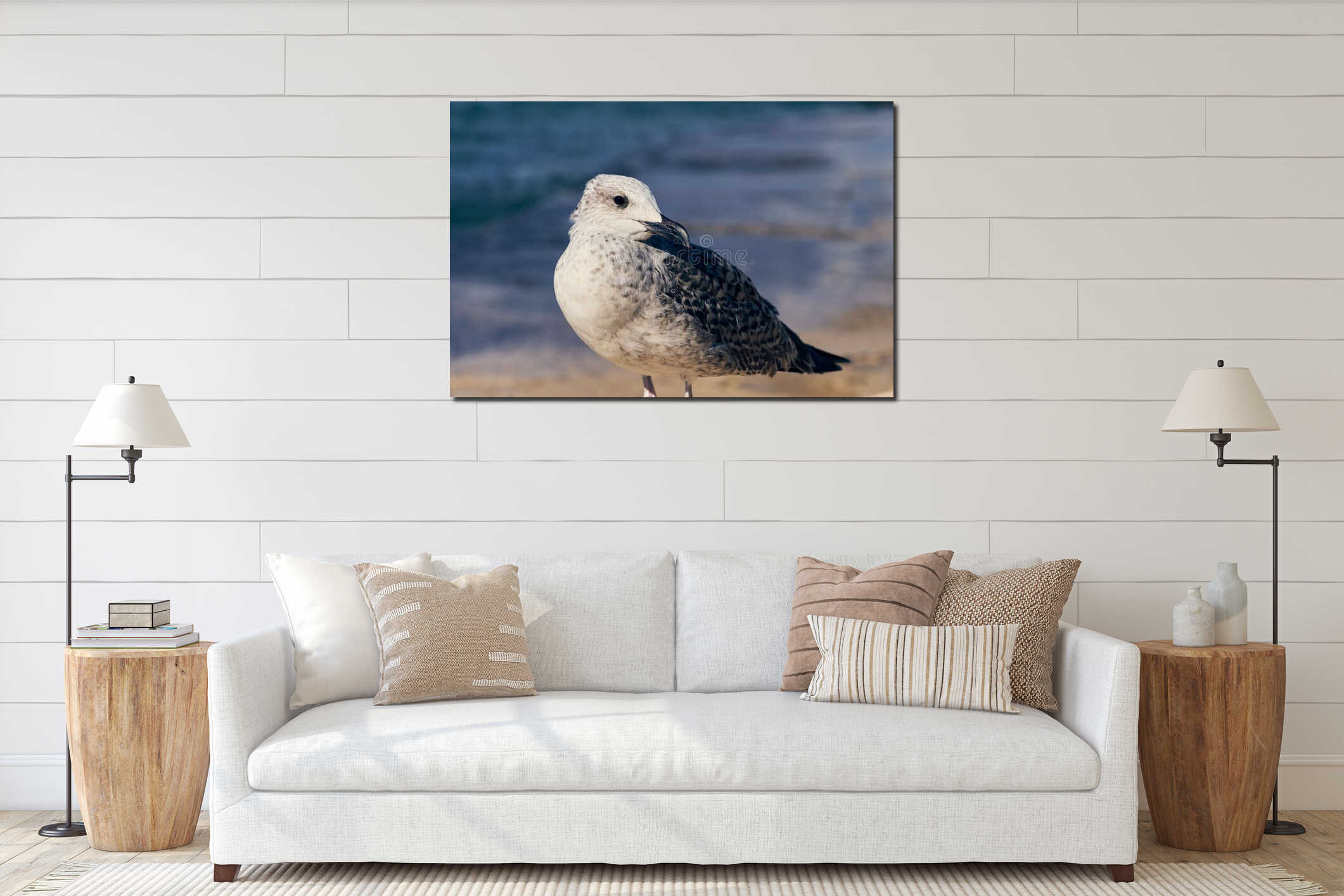 Closeup shot of a juvenile seagull perched on the beach interior mockup