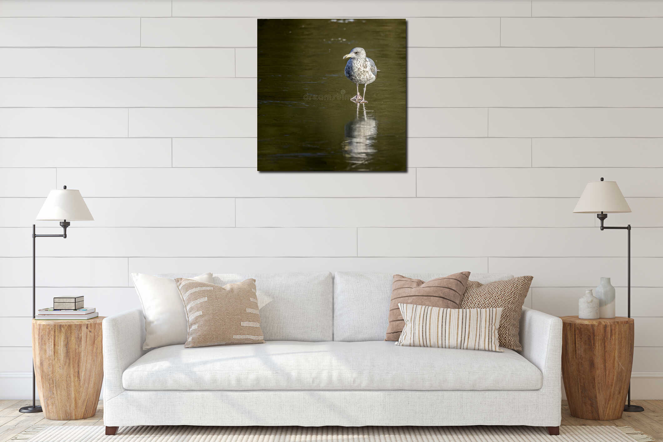 Close up of a Juvenile seagull standing on frozen lake with ice reflection interior mockup