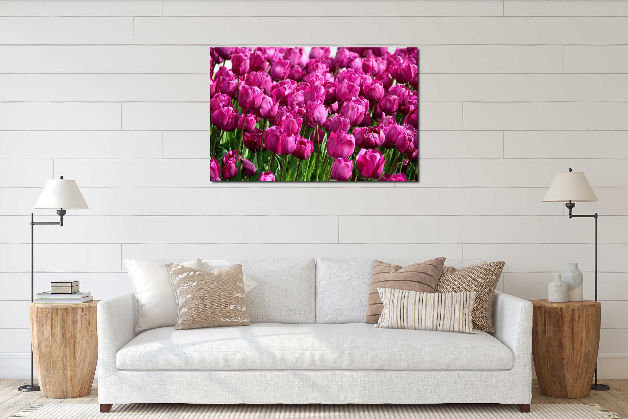 Vibrant purple tulips in full bloom close-up in Istanbul, Turkey interior mockup