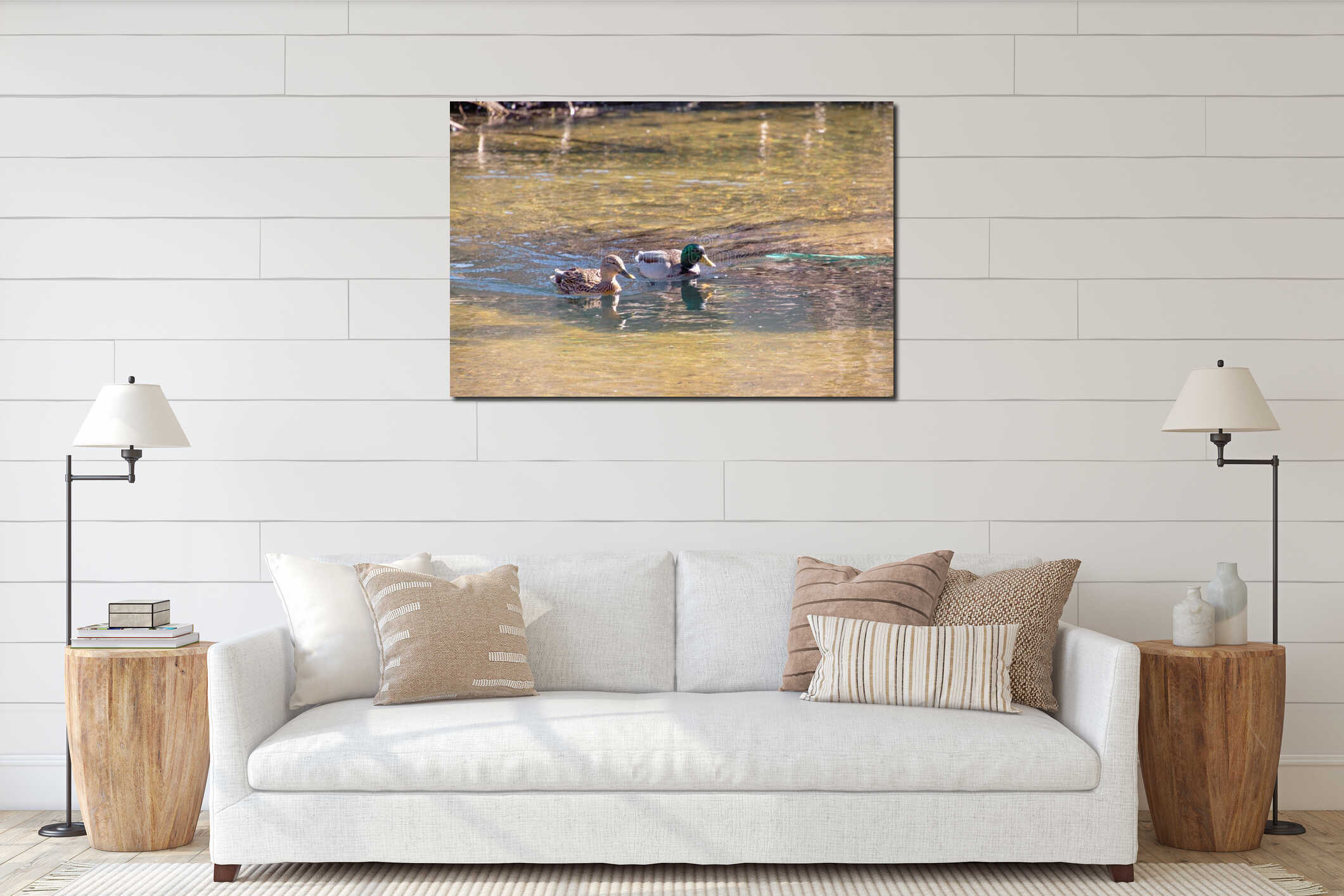 three ducks swim in a pond with grass near a tree interior mockup