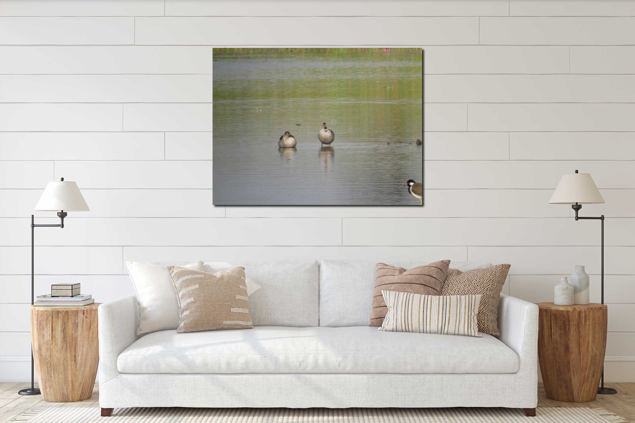 Reflections of Tranquility: Spot-billed Ducks Gracefully Adorn the Lake interior mockup