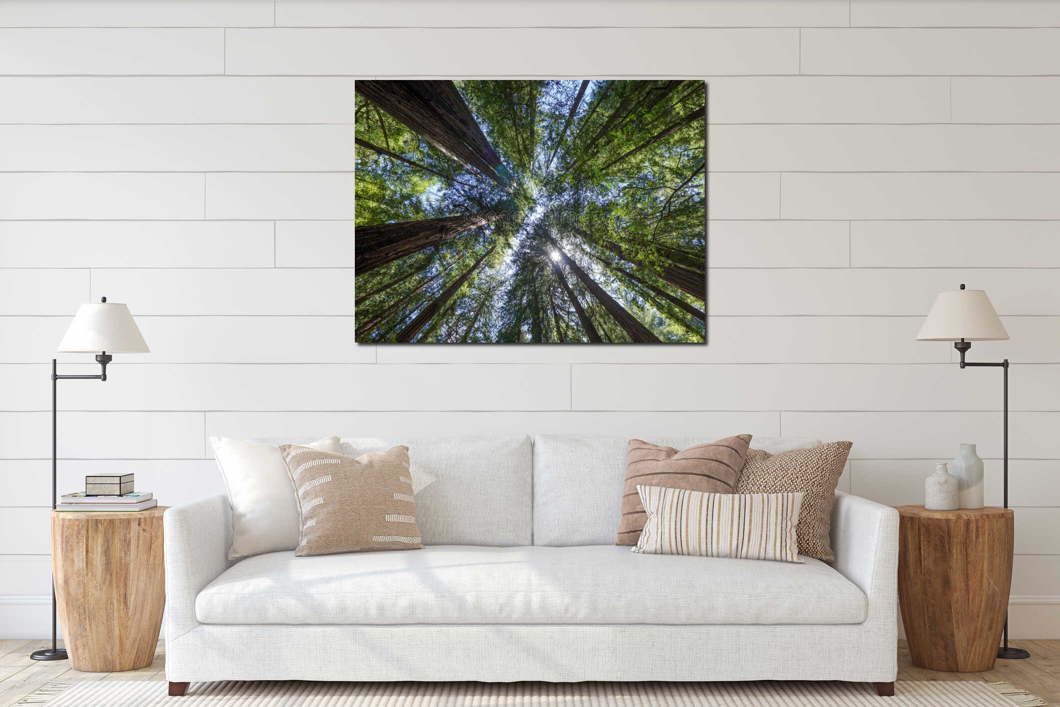 Low angle shot of trees in a forest interior mockup