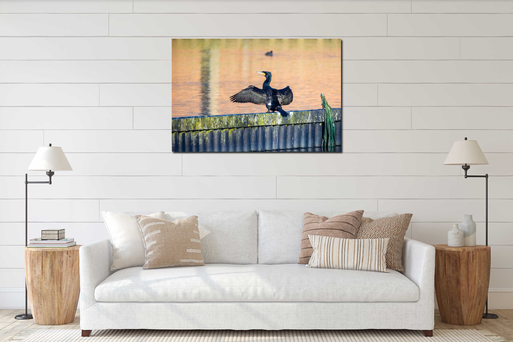 Cormorant Basking in the Morning Sun by the Lake interior mockup