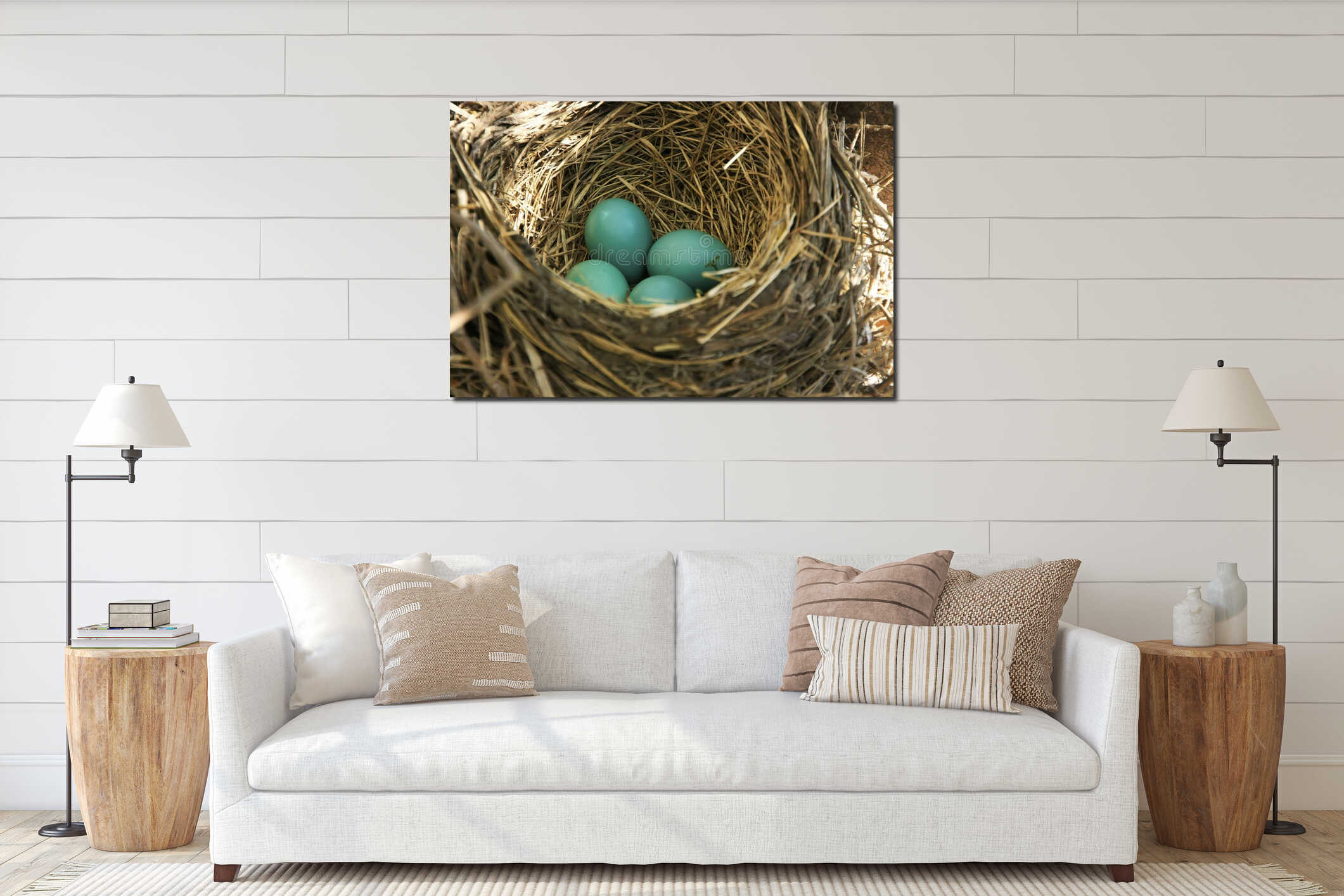 American Robin nest with eggs interior mockup