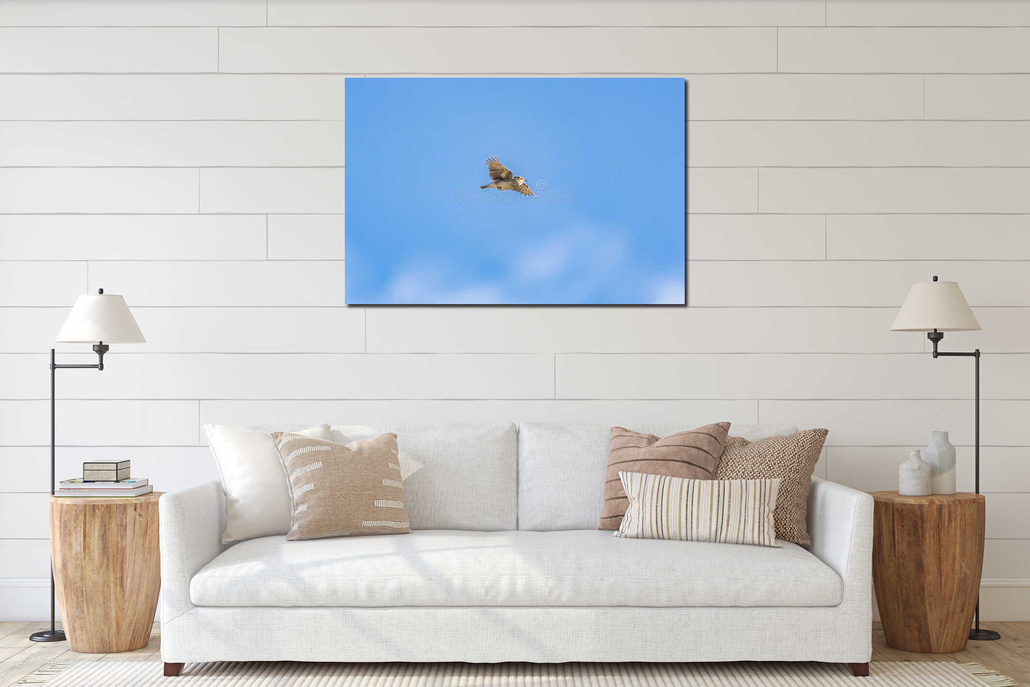 Flying Woodlark, Lullula arborea, in the bright and warm light of sunrise interior mockup