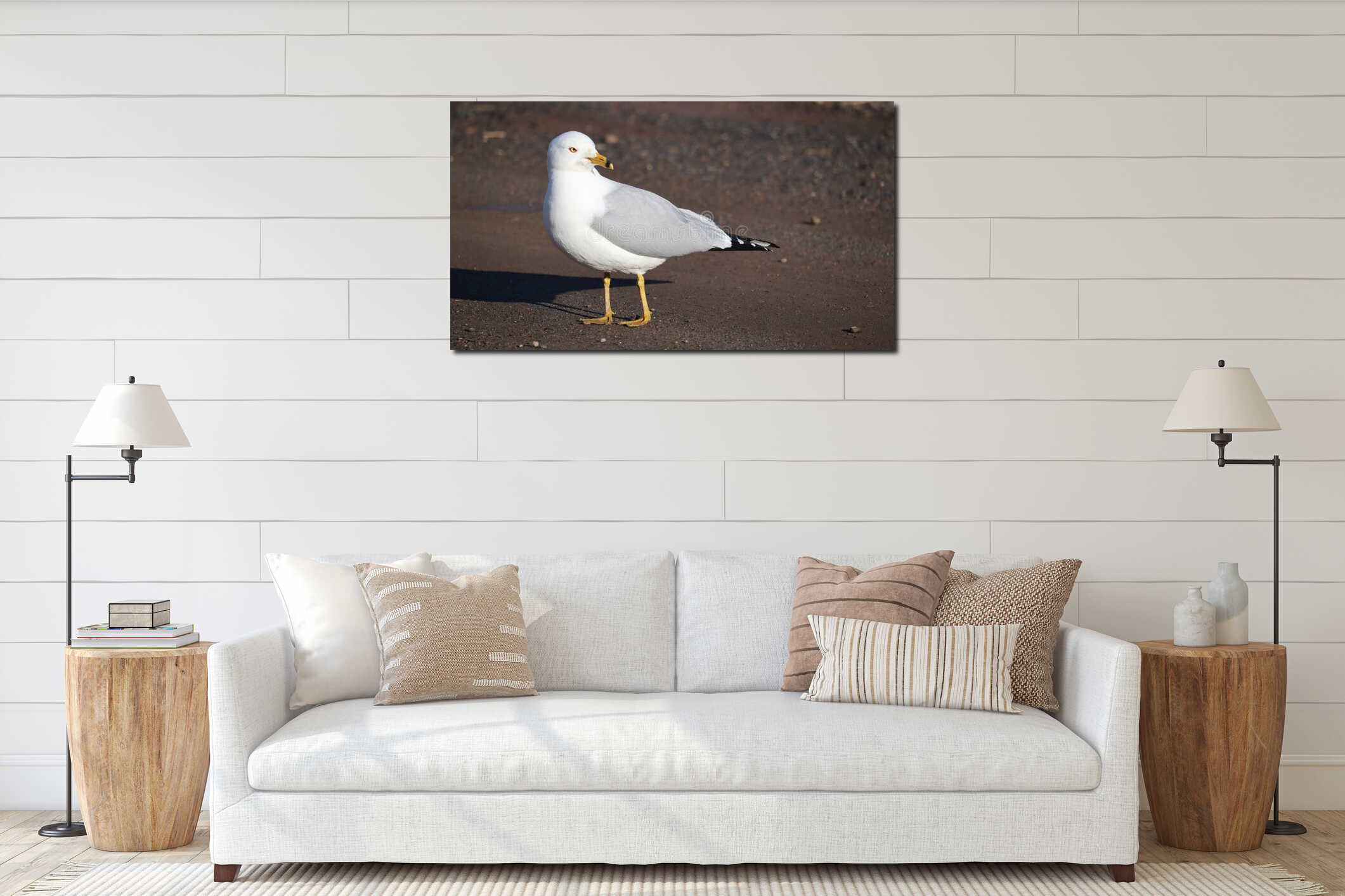 Solitary white seagull perched on sandy beach. interior mockup