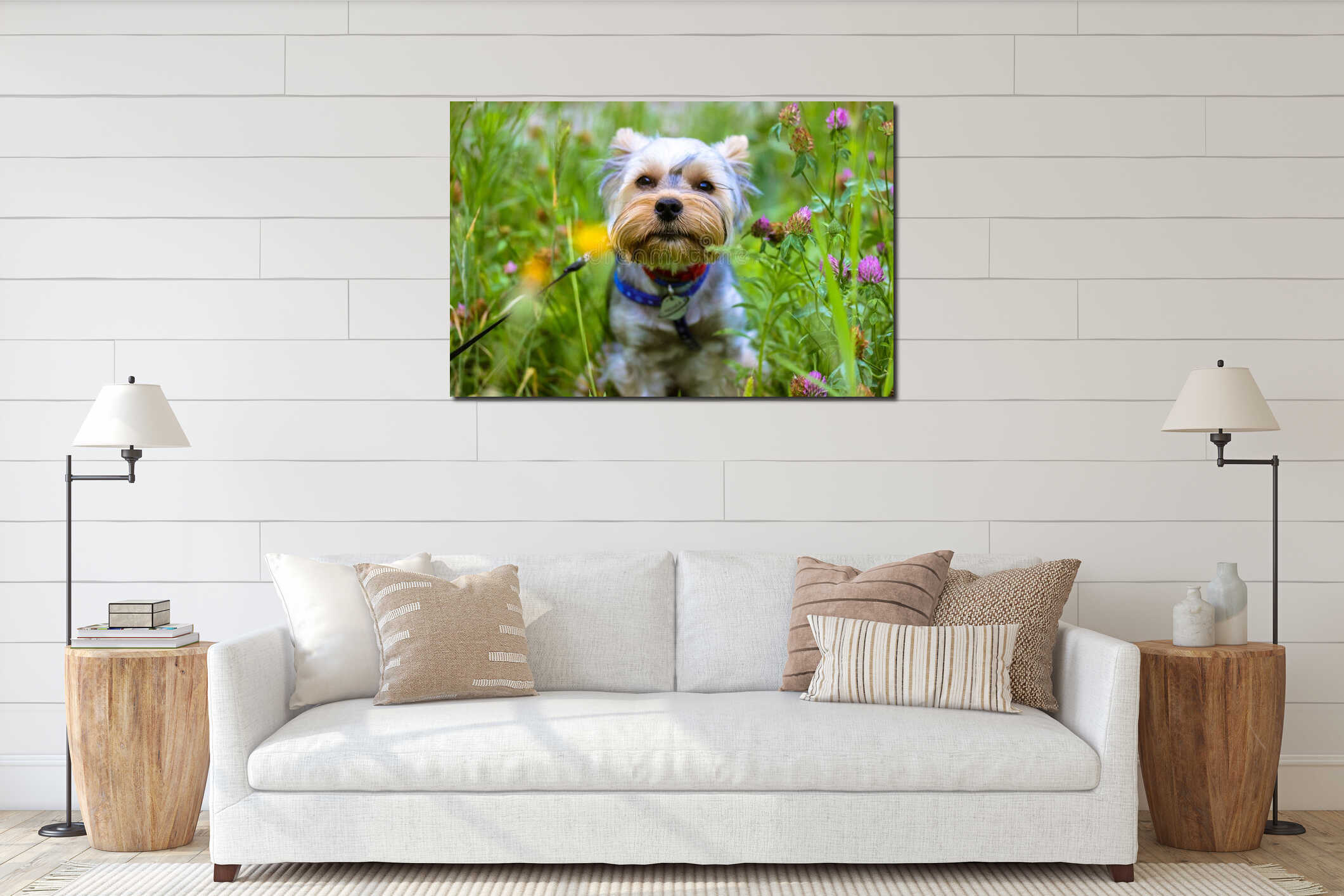 Portrait of a cute Yorkshire Terrier dog on a walk in a spring or summer blooming meadow amongst flowers. A happy interior mockup