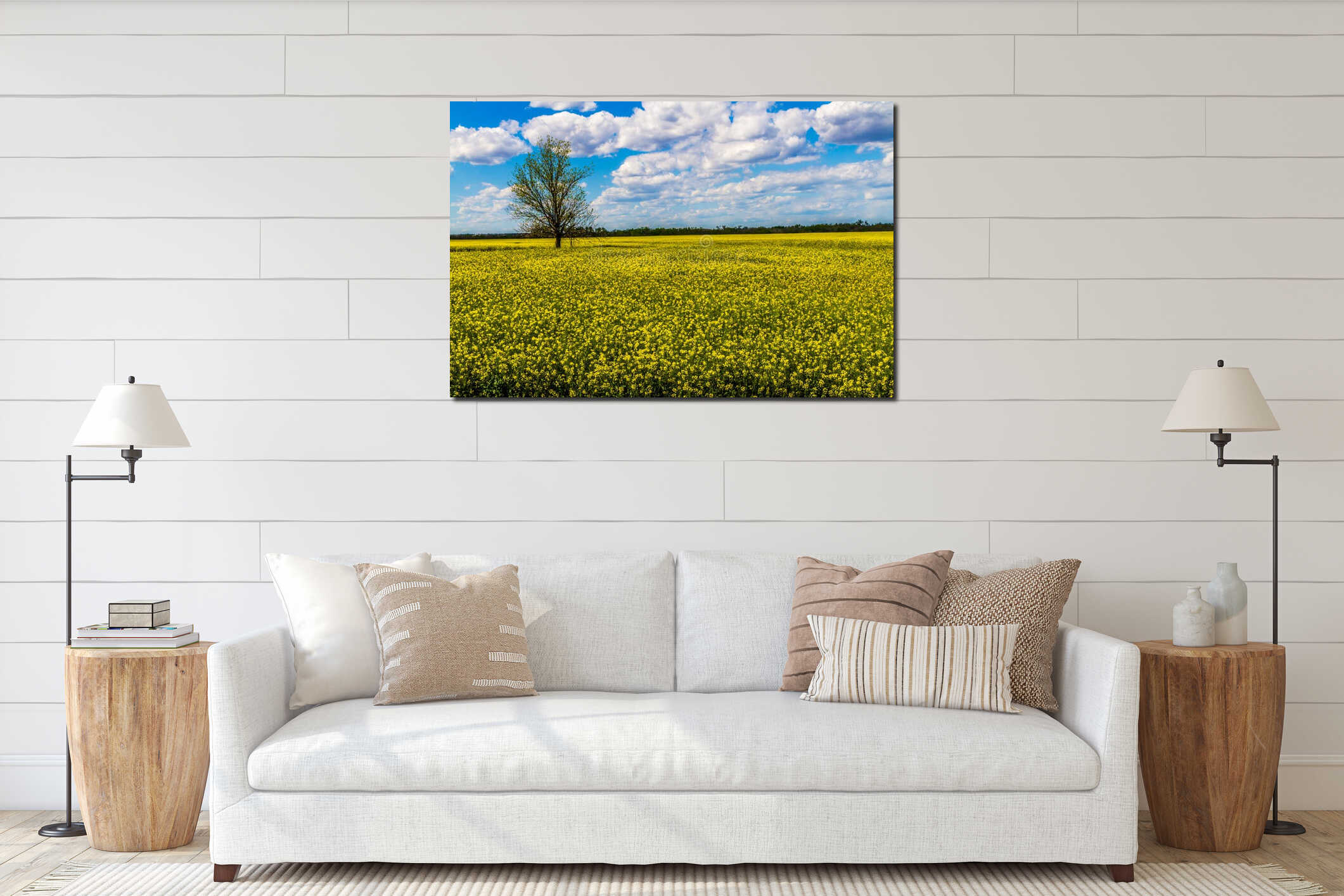 Sharp Wide Angle Shot of Beautiful Bright Yellow Flowering Field of Canola Plants with Clouds and Blue Sky. interior mockup