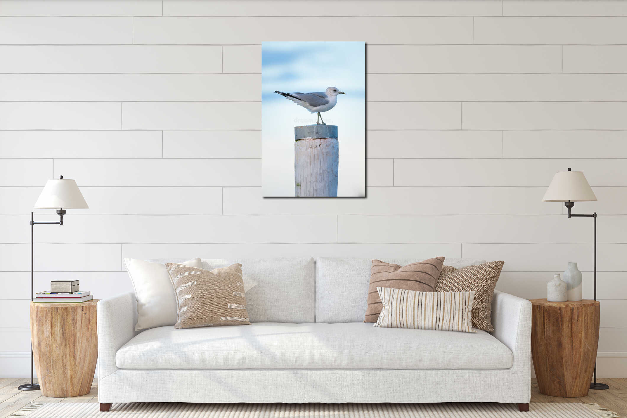 Seagull. Fishing bird. Birds in the wild. Flying and waterfowl species of birds. interior mockup