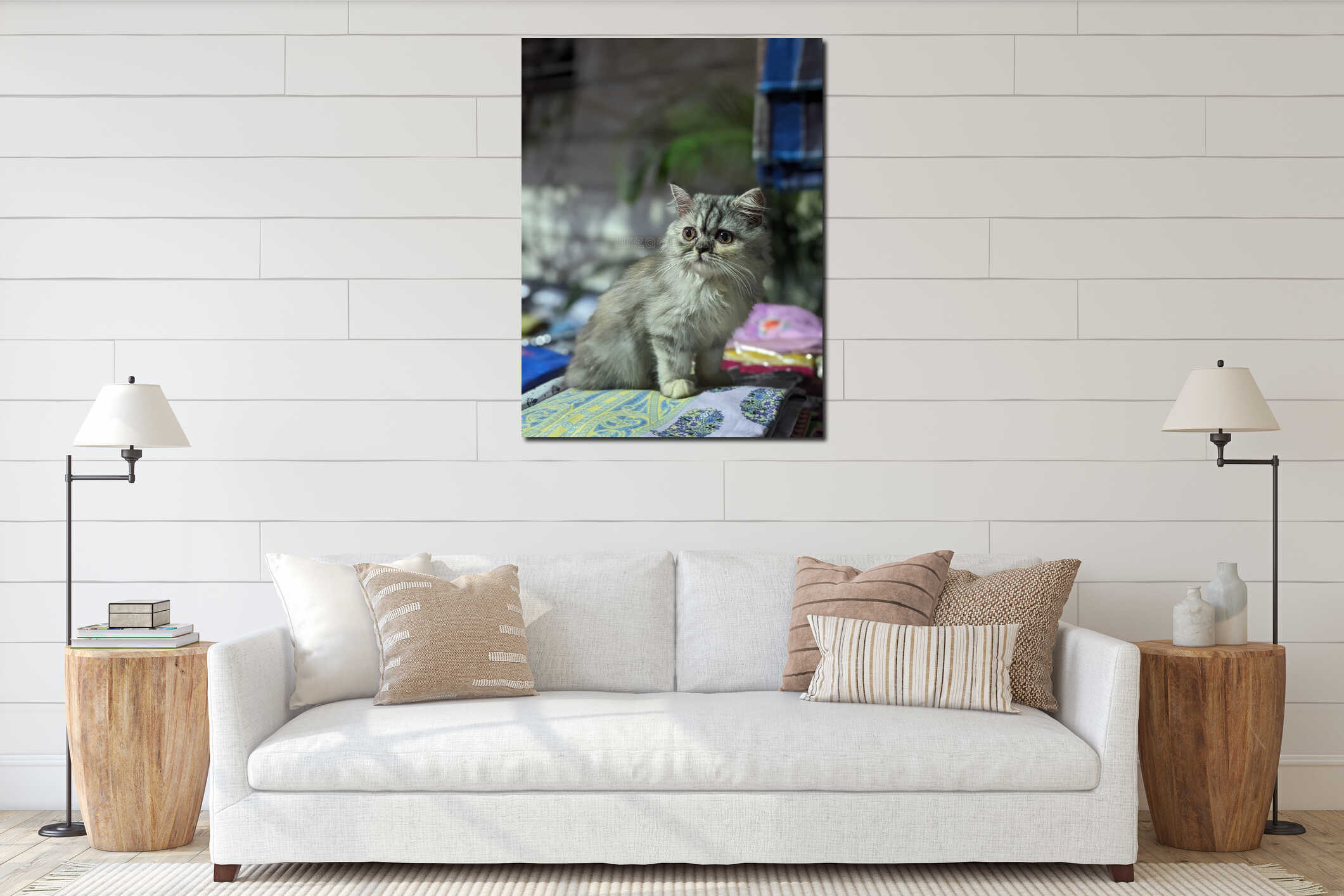 A Gray Tabby Kitten Sitting on a Colorful Blanket interior mockup
