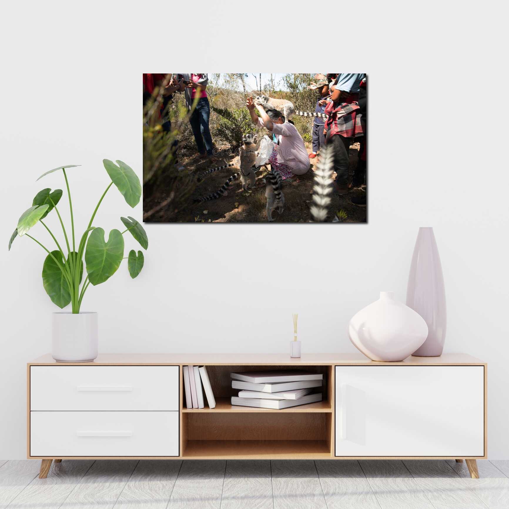 Canvas above sofa for size context