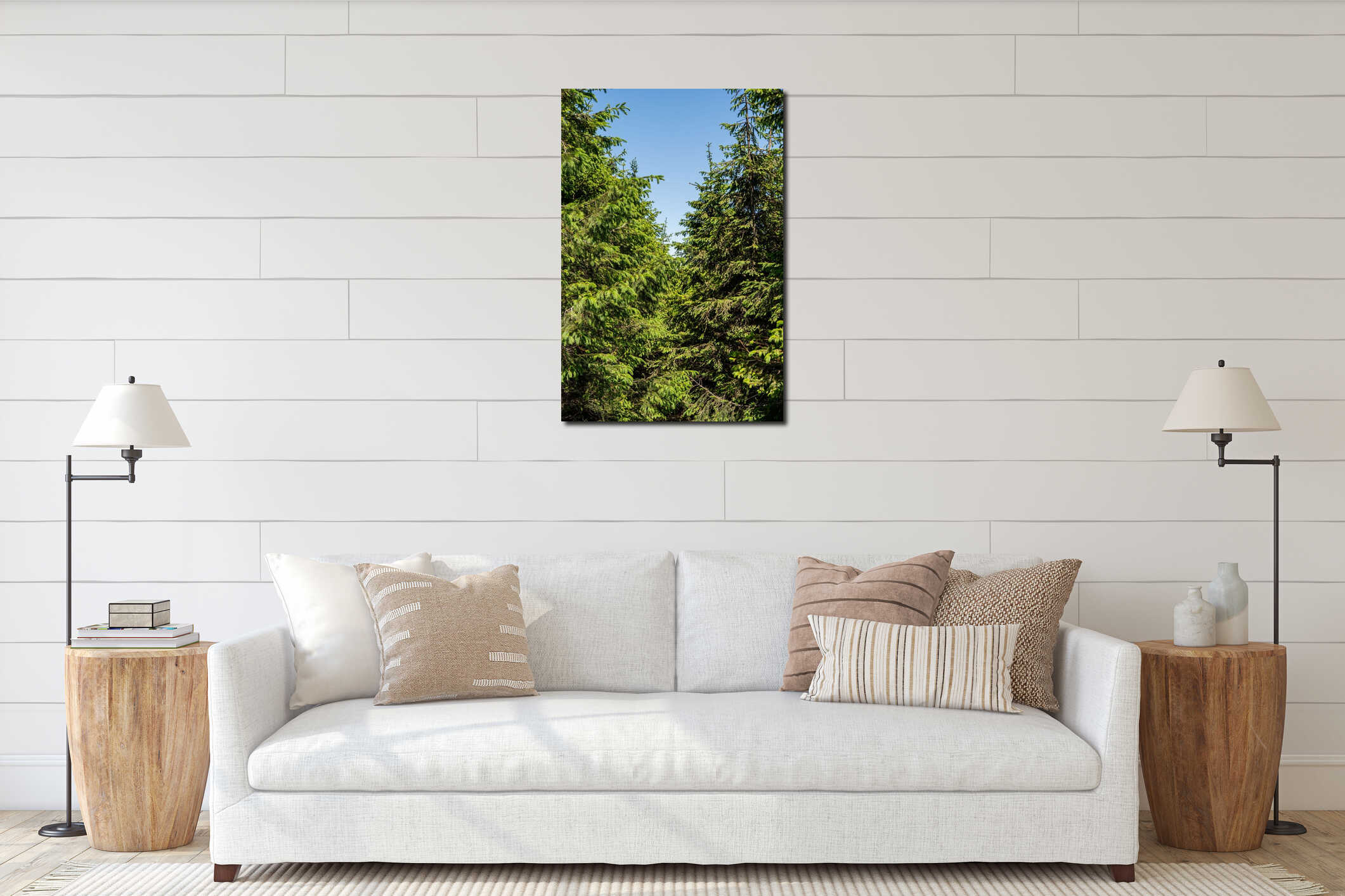 Bright blue sky showing through dense green pine forest canopy interior mockup