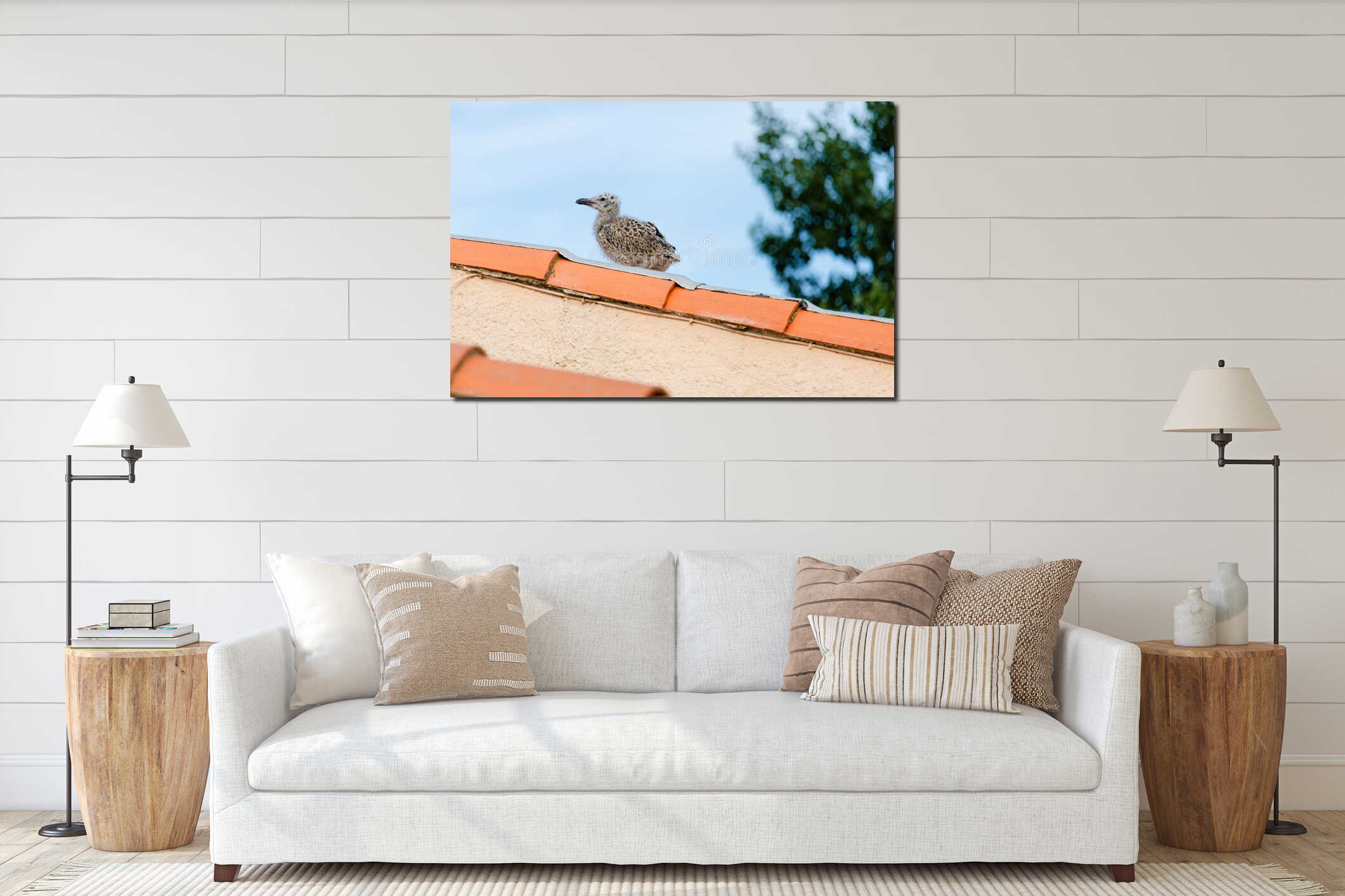 Baby seagull birds are perched on a red roof interior mockup