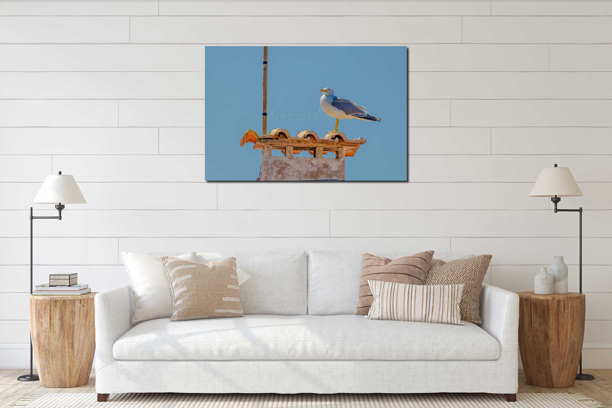 Baby seagull birds are perched on a red roof interior mockup