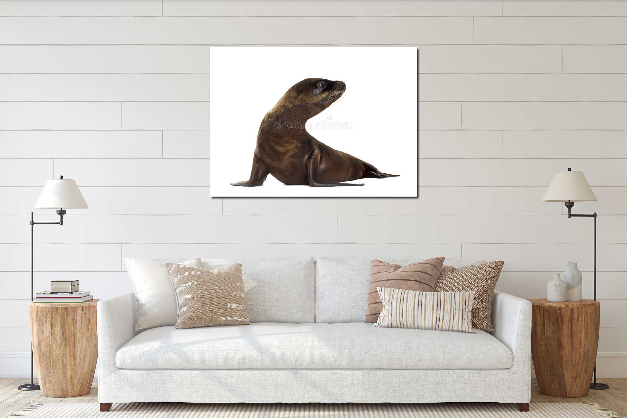 Sea-lion pup (3 months) interior mockup