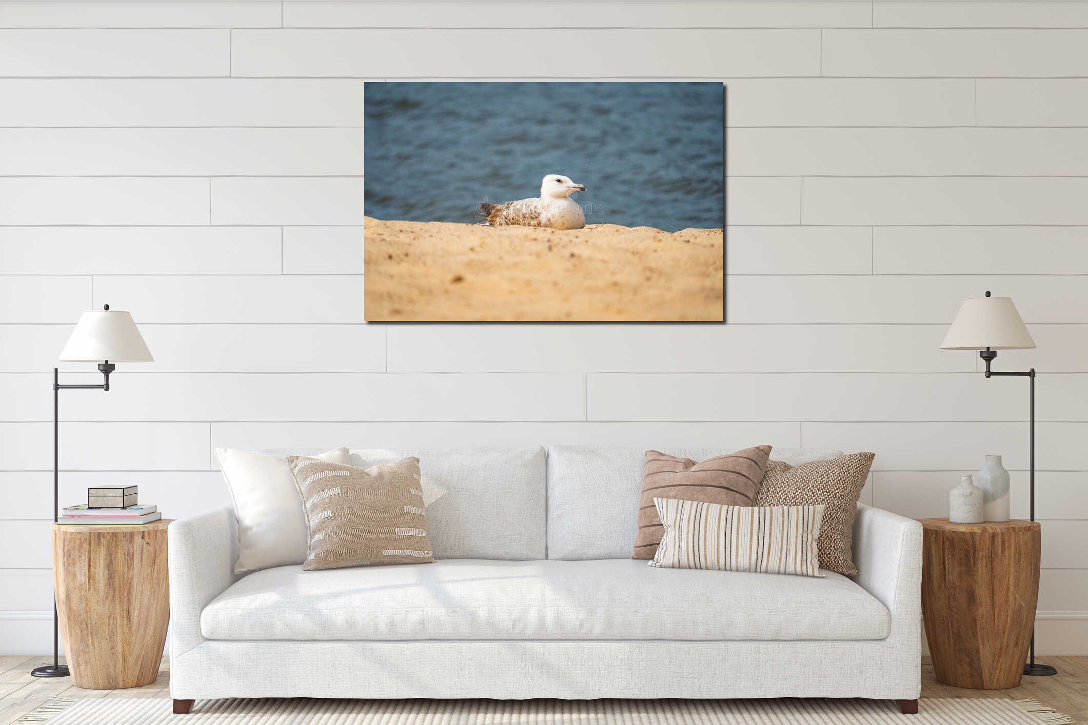 A lonely young seagull sits on the seashore interior mockup