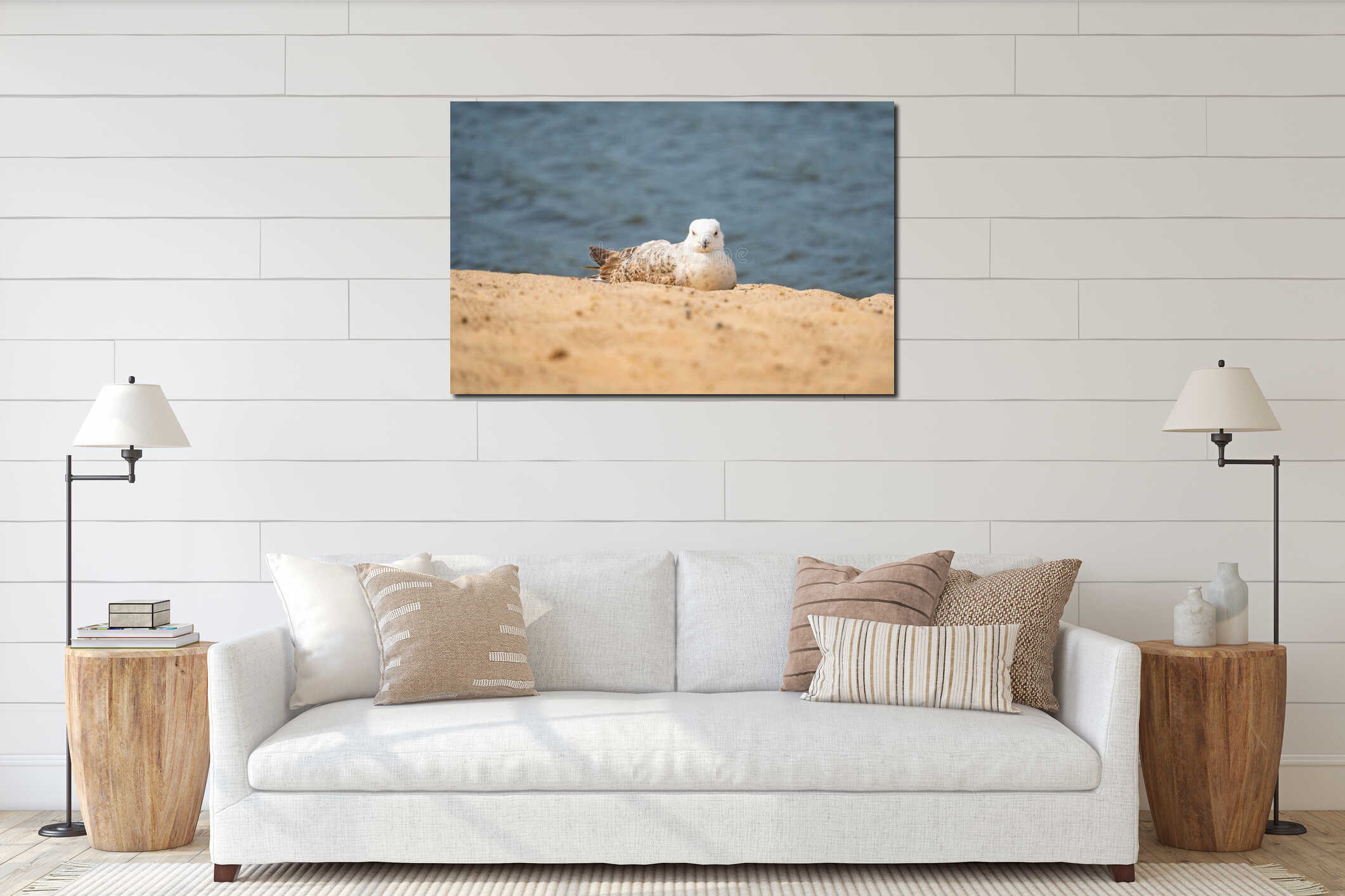 A lonely young seagull sits on the seashore and stare front interior mockup