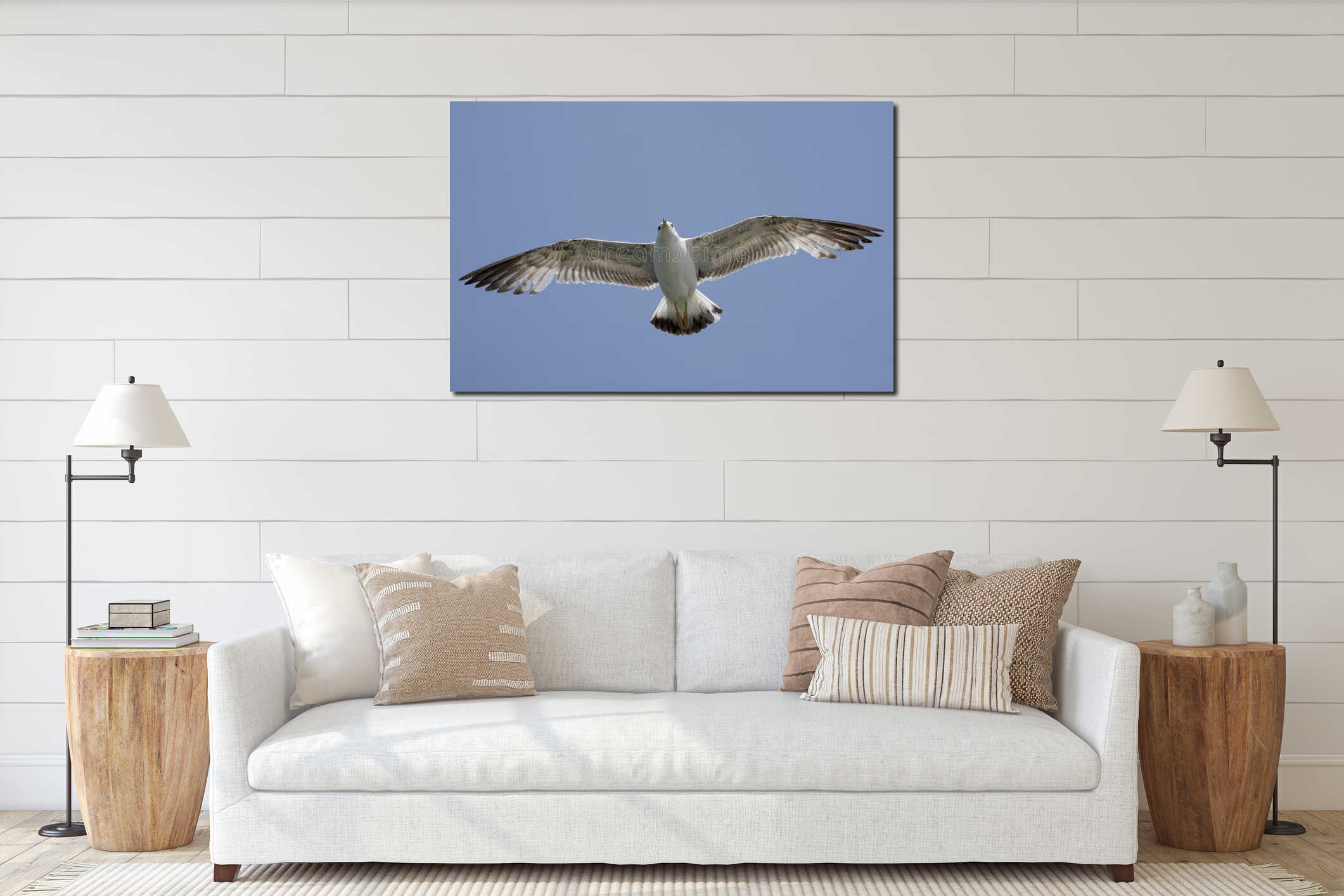 The little silver gull bird is thinking about food, wildlife maybe it will be the hunted one interior mockup
