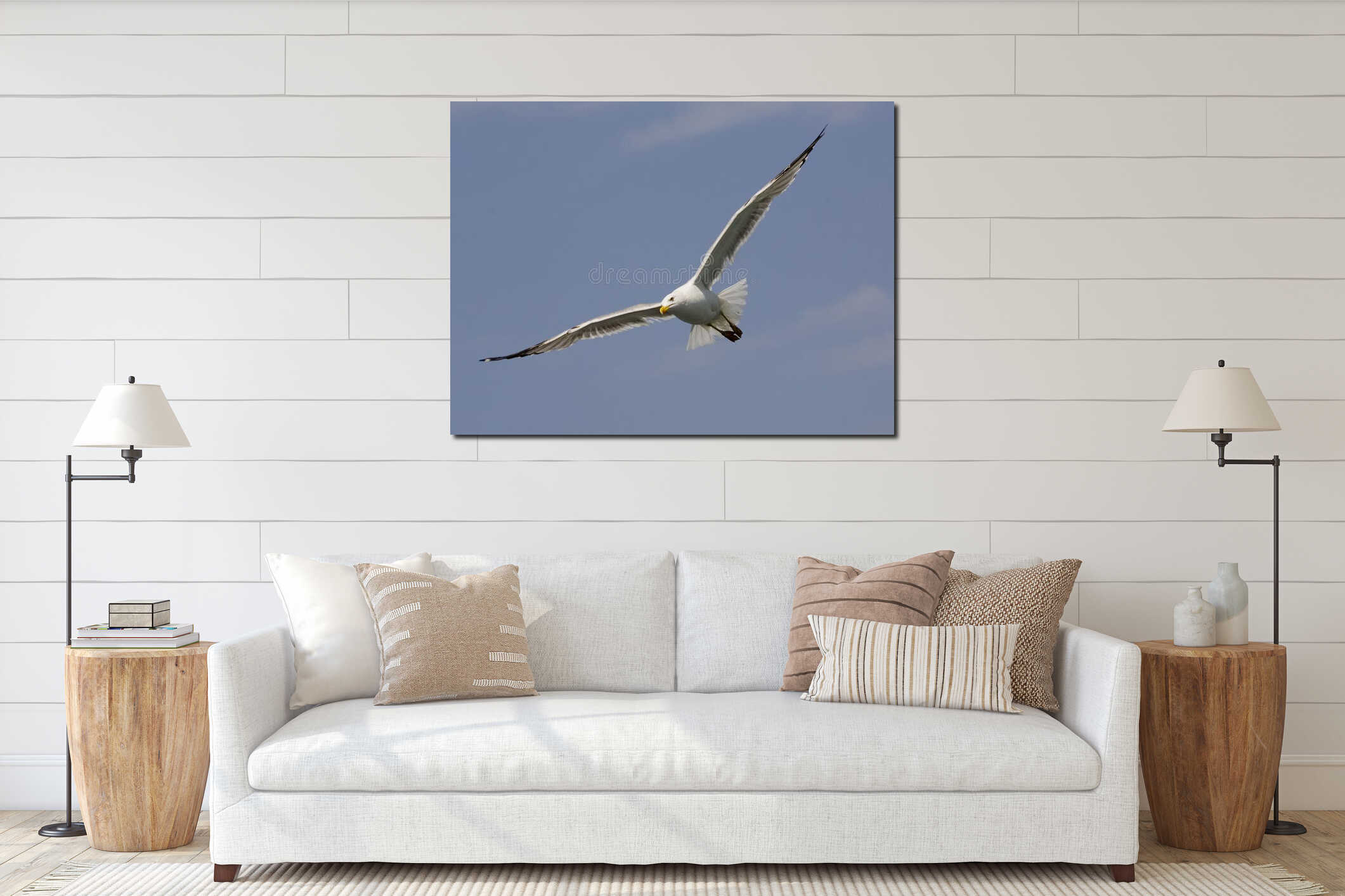Northern silver gull bird in viewing mode, resting, rural Turkey interior mockup