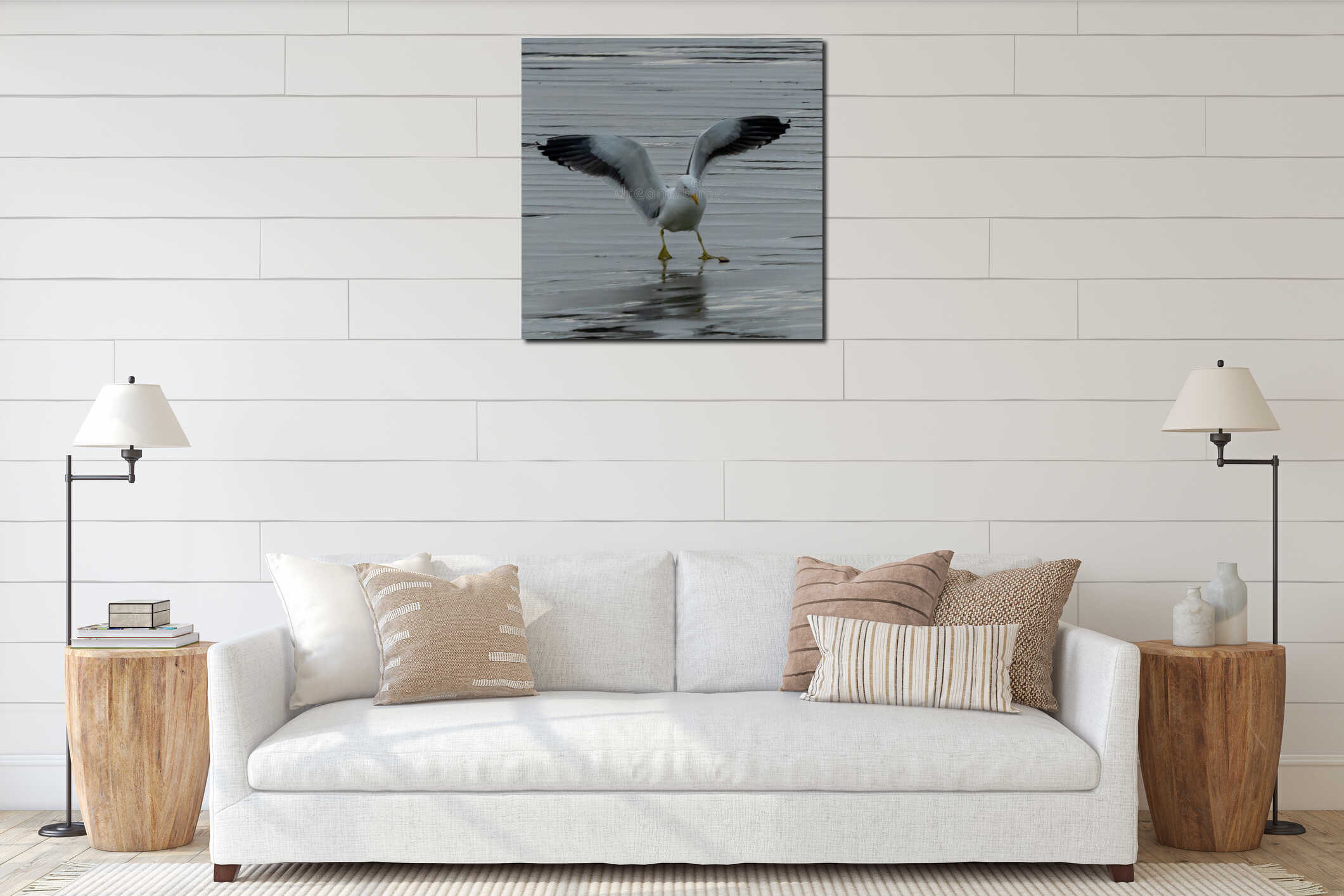 Seagull eyeing a clam on the beach interior mockup