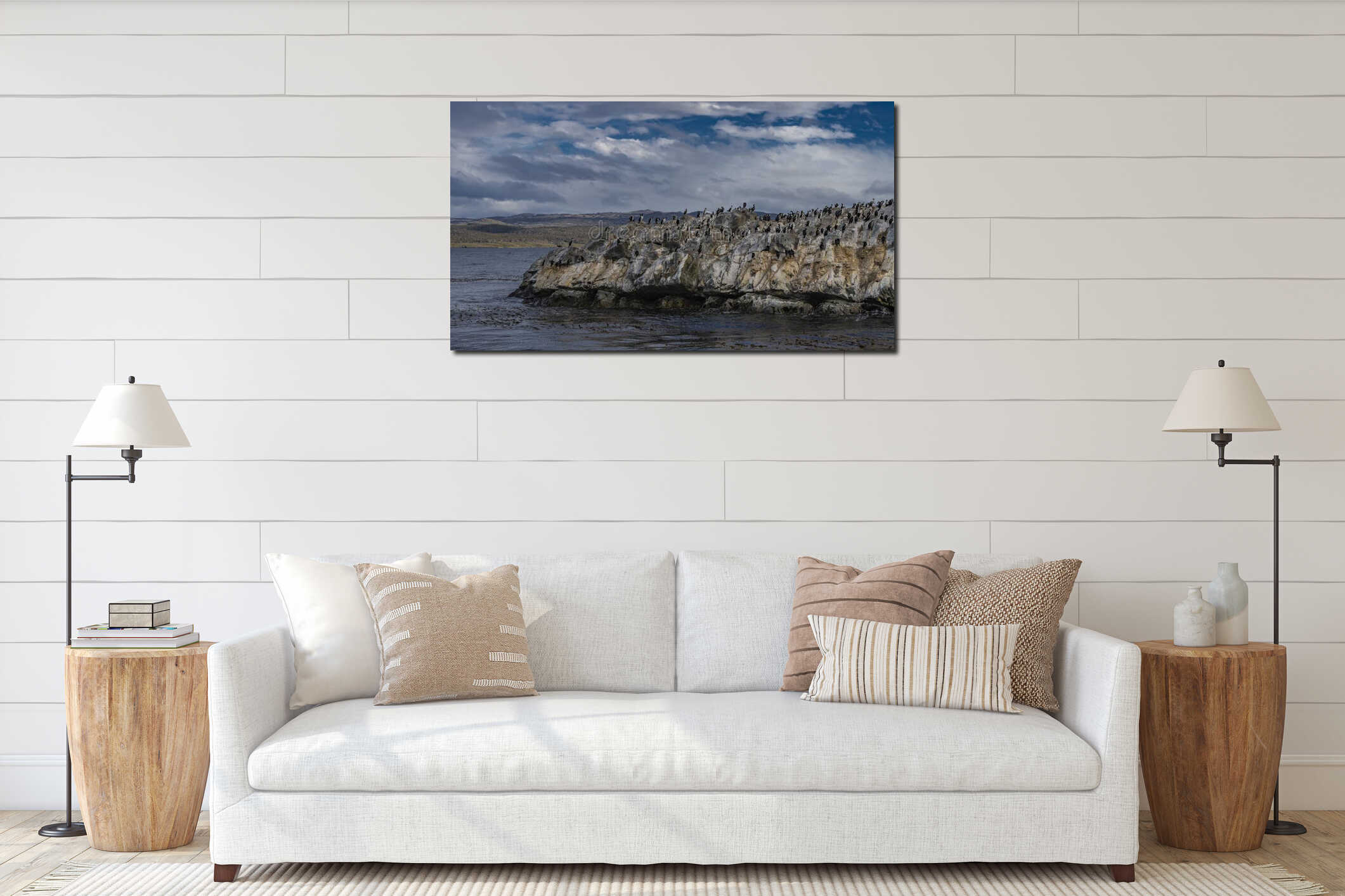 A colony of cormorants on a rocky island. Argentina. interior mockup