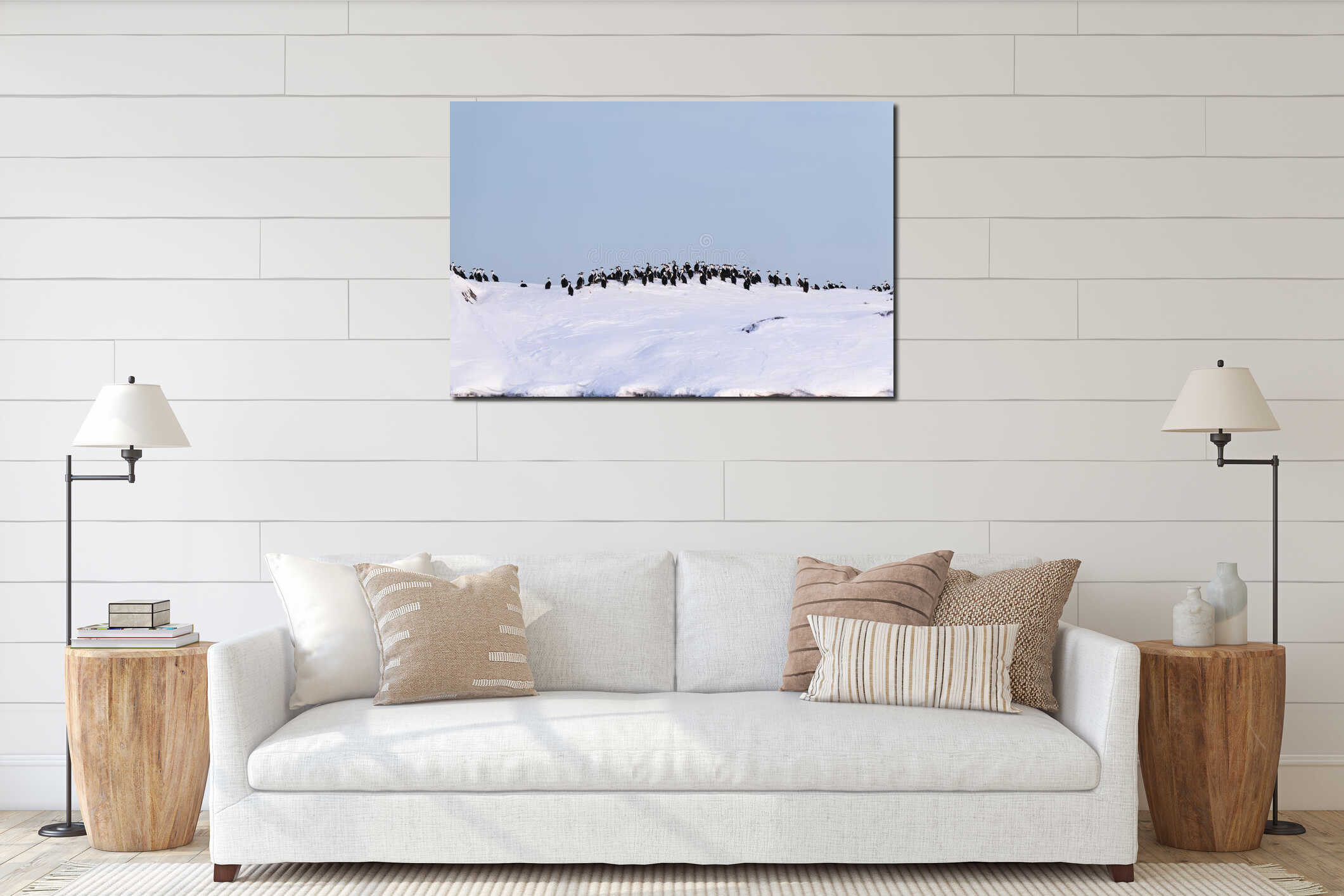 A flock of cormorants sitting on the snow. Antarctica interior mockup