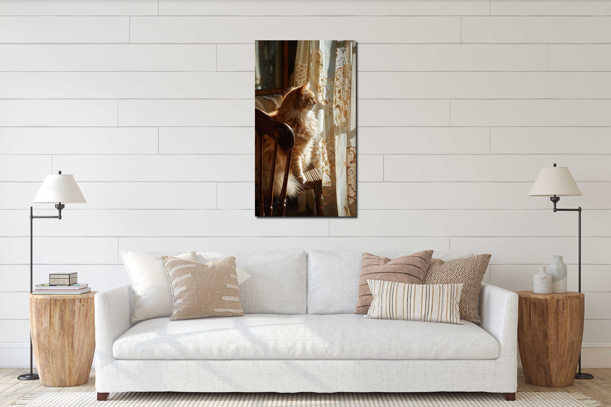 Elegant Persian Cat Relaxing on Vintage Chair with Lace Curtain Shadows in Sunlit Room interior mockup