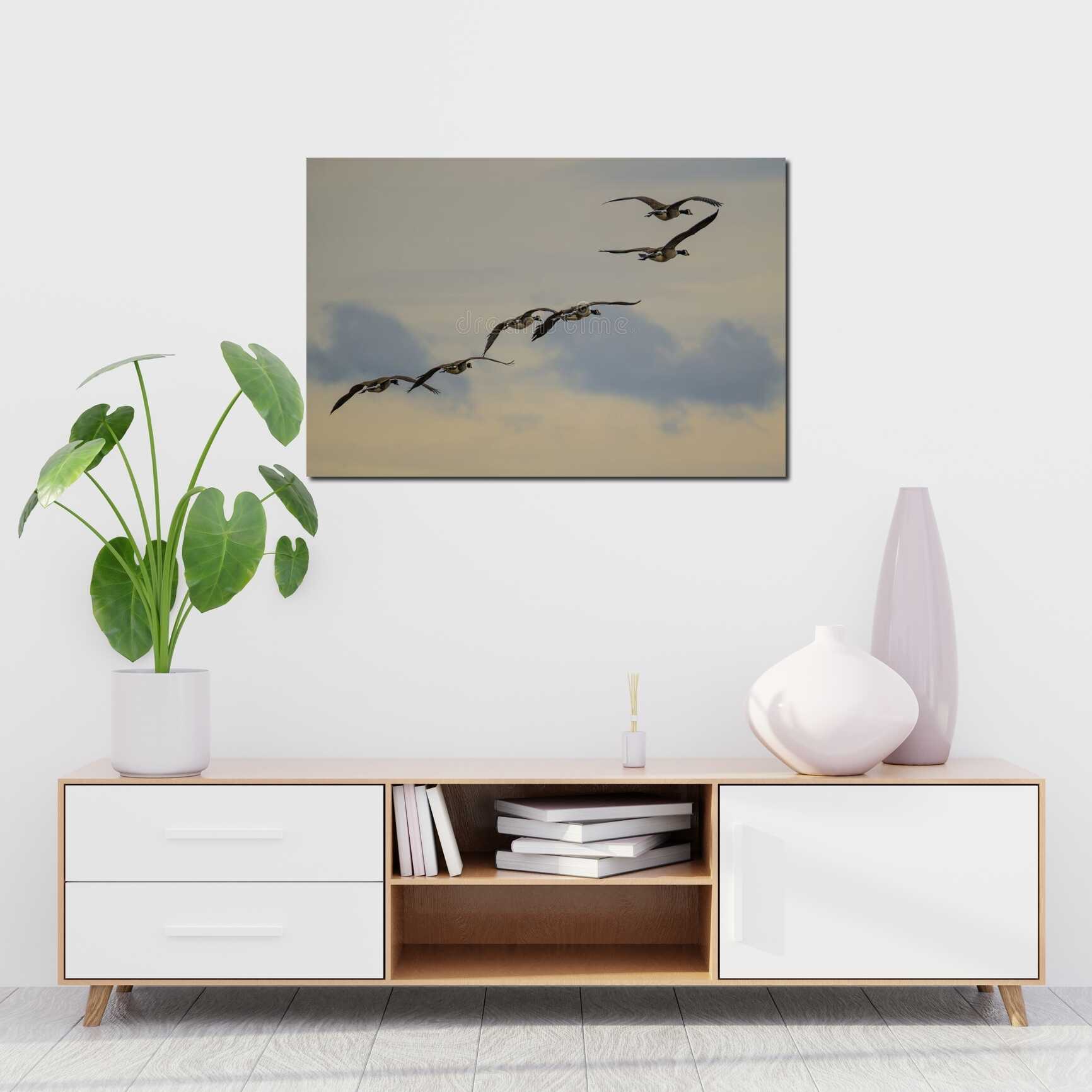 Canvas above sofa for size context