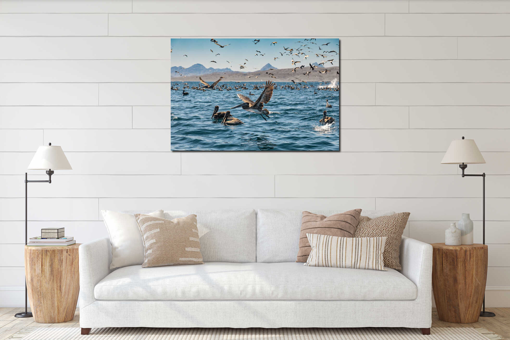 Flock of brown pelicans interior mockup