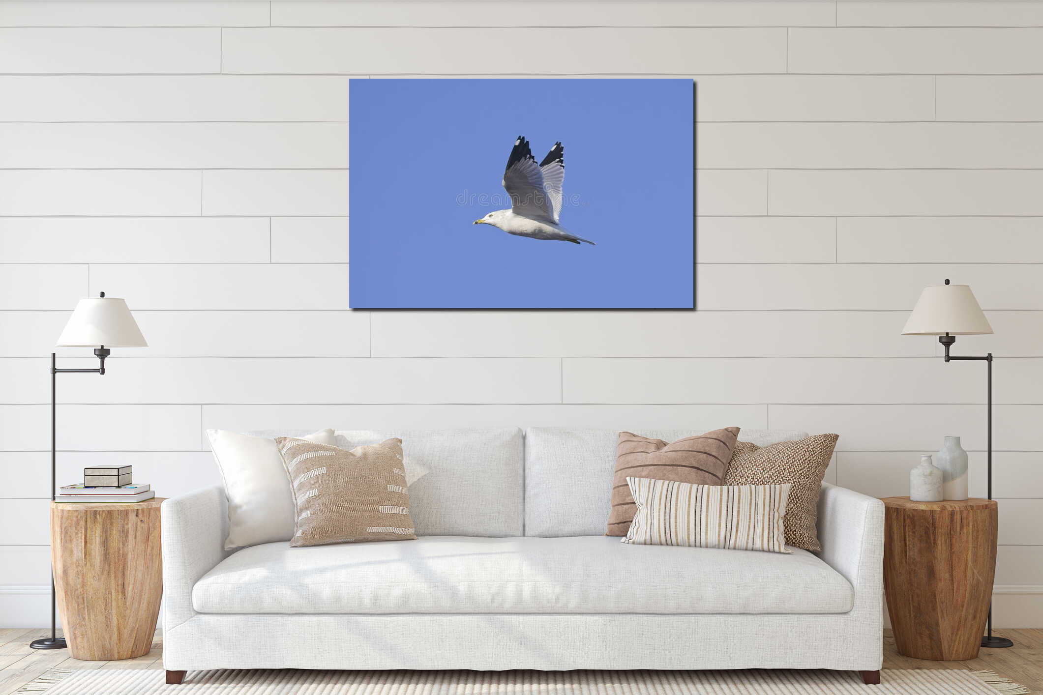 Common seagull flying against blue sky interior mockup