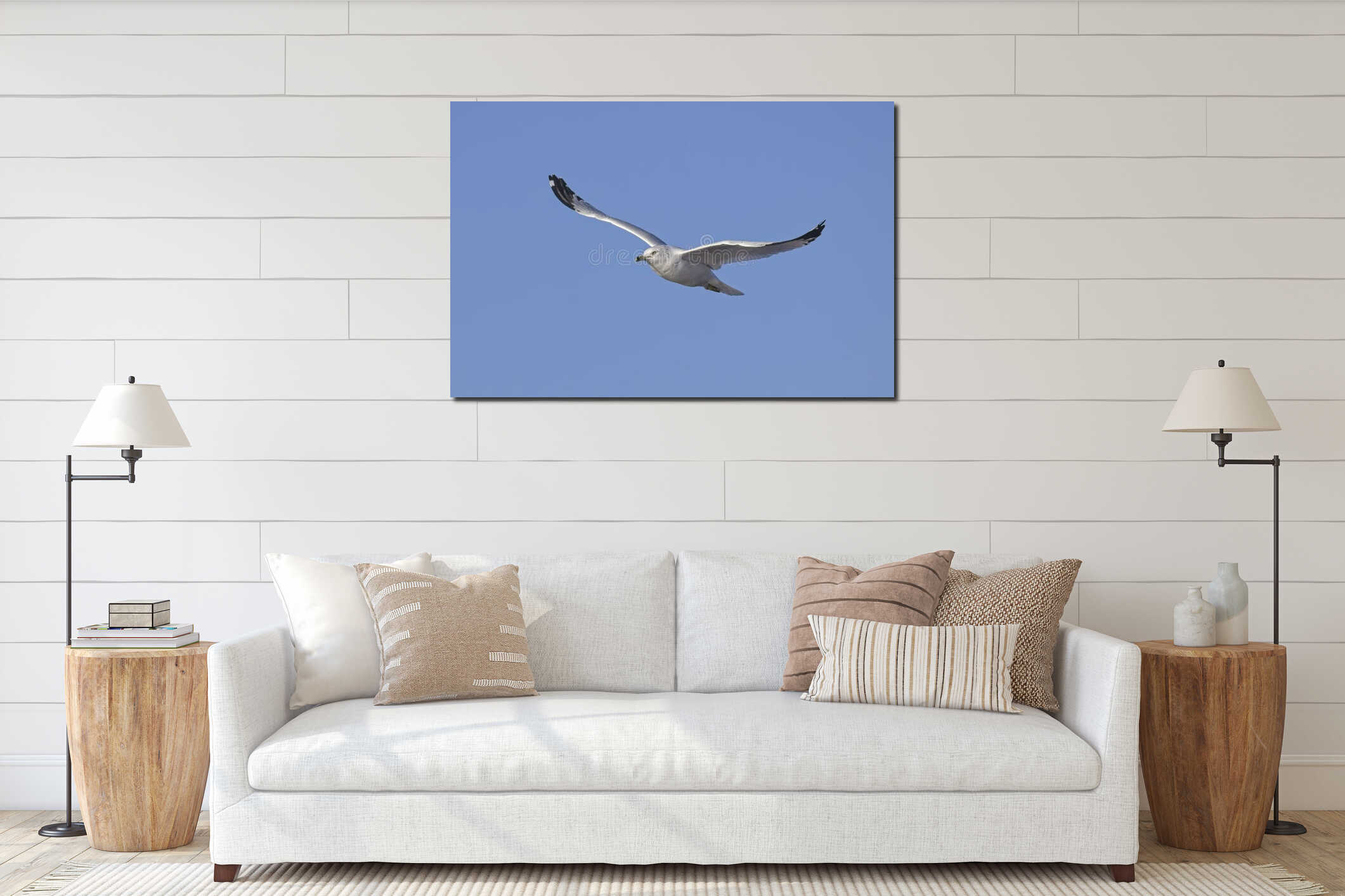 Common seagull soaring up in the sky interior mockup
