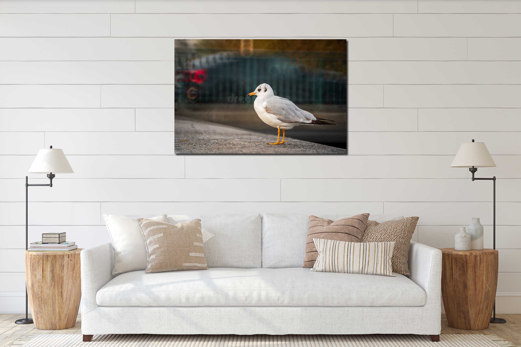 Seagull standing on a concrete railing near lake, urban environment in the background. Close up shot, shallow depth of field, no interior mockup