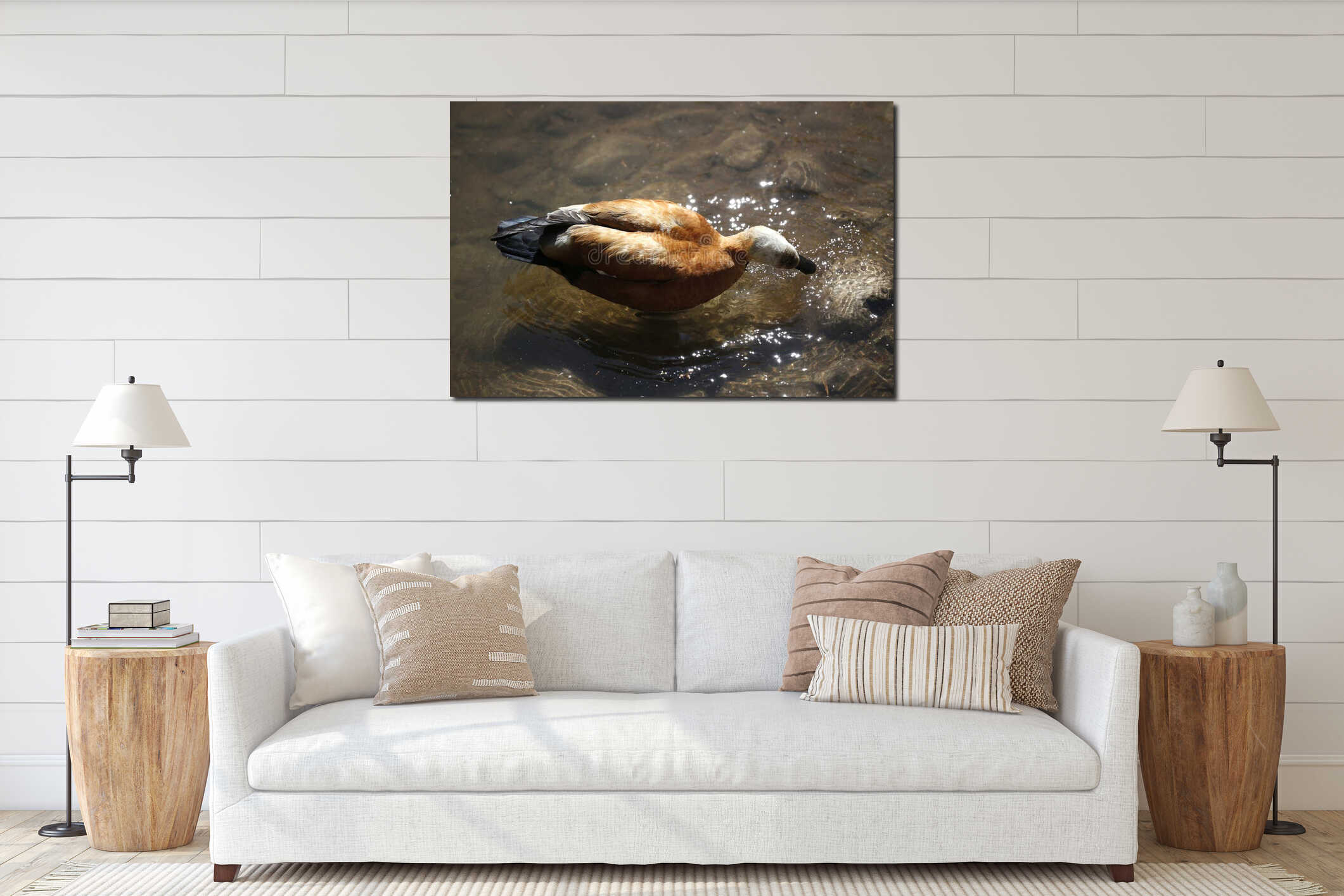 Beautiful brown duck standing in lagoon with sun shine. interior mockup