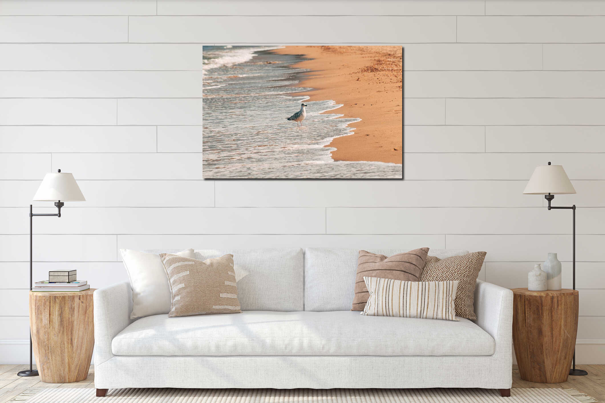 Young seagull bird at seaside shore in Vrasna, Greece interior mockup
