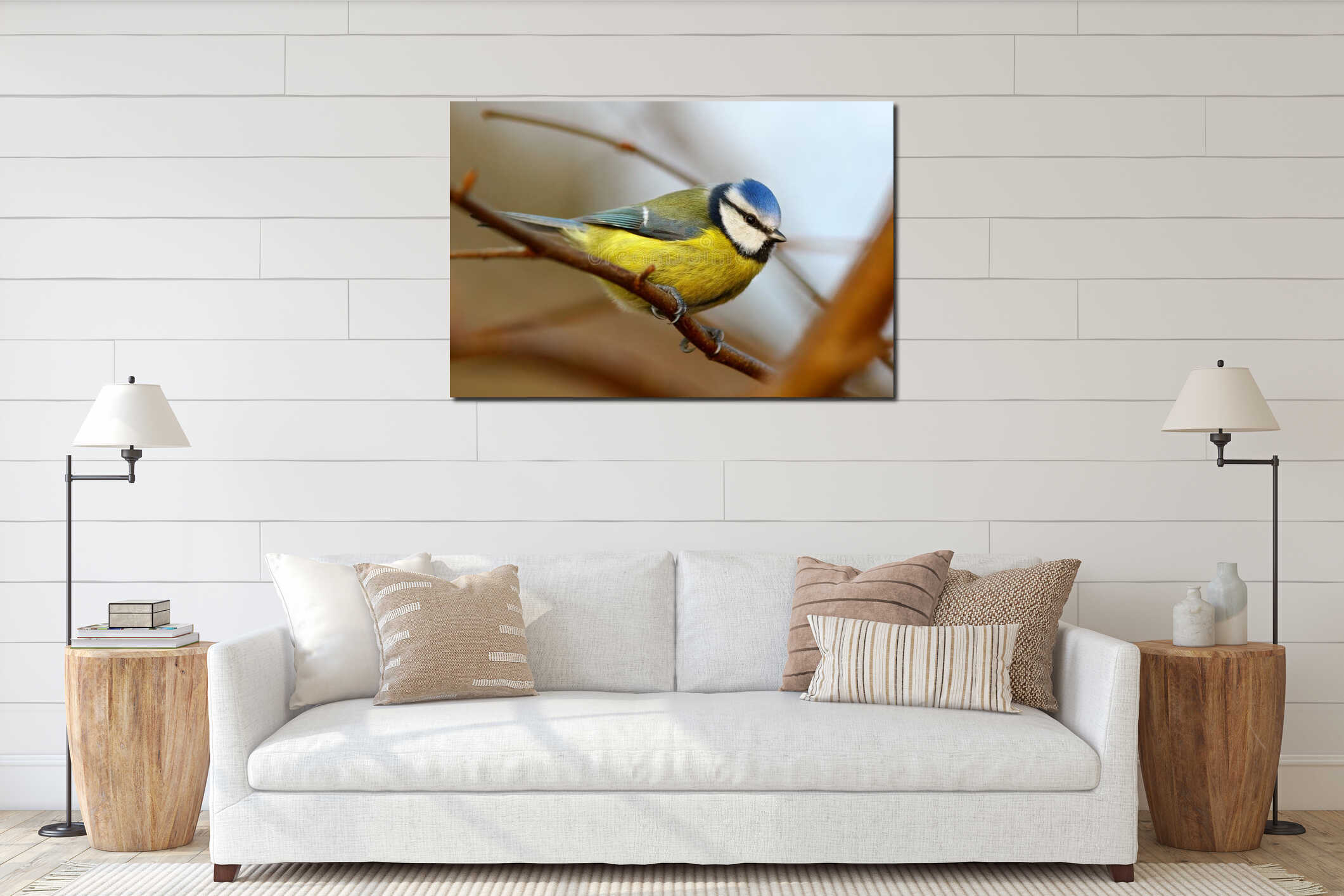Blue tit bird interior mockup