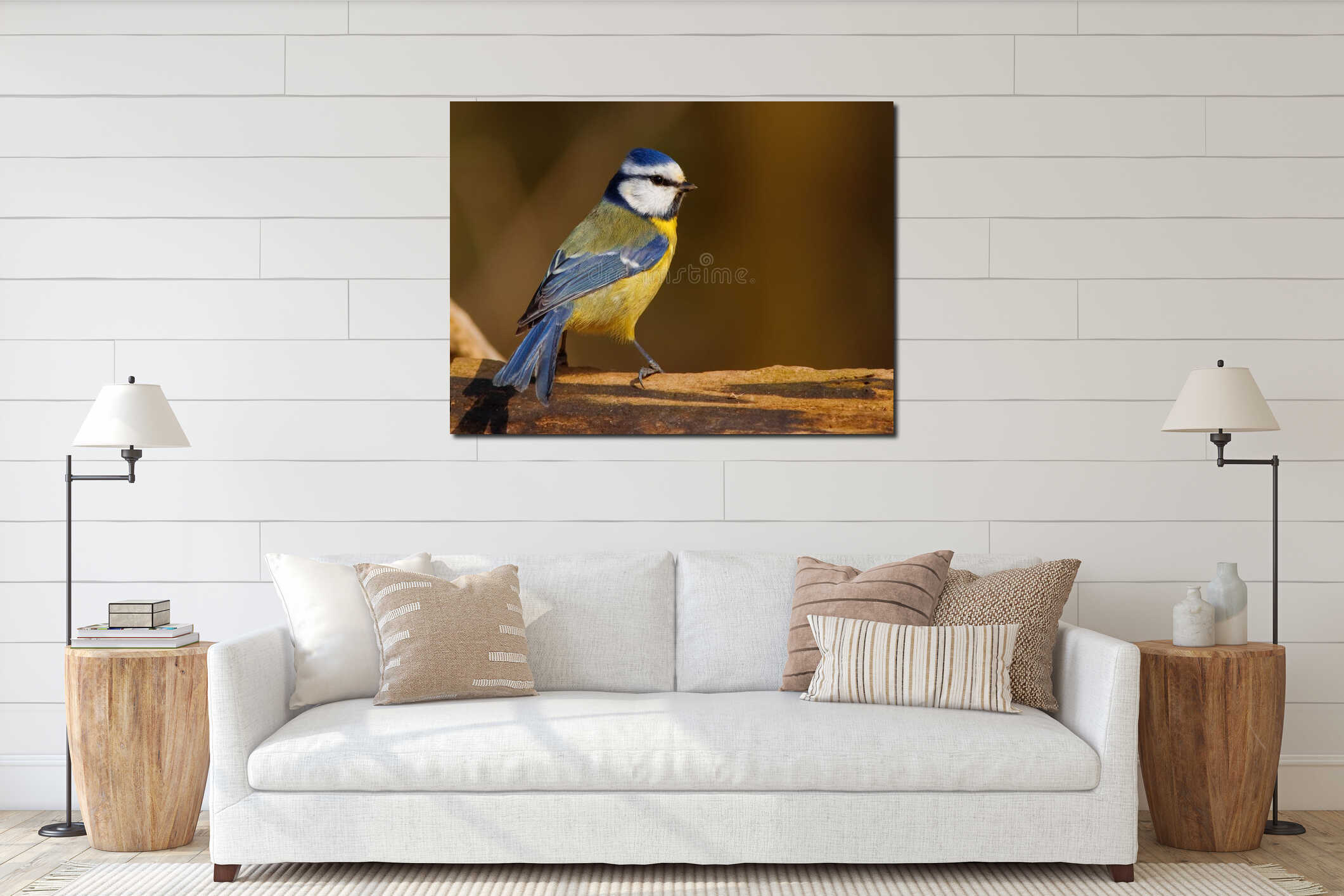 Blue tit bird interior mockup