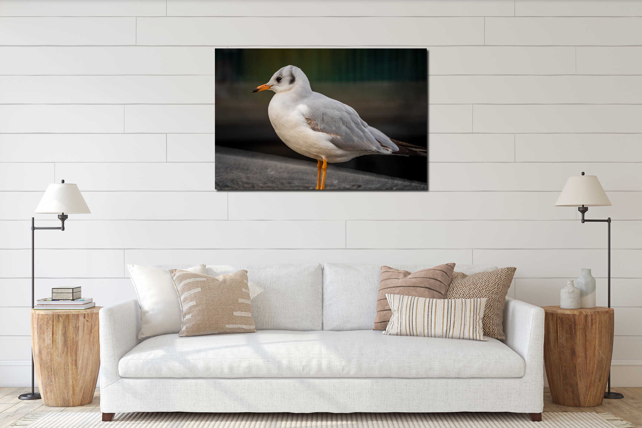 Seagull standing on a concrete railing near lake, urban environment in the background. Close up shot, shallow depth of field, no interior mockup