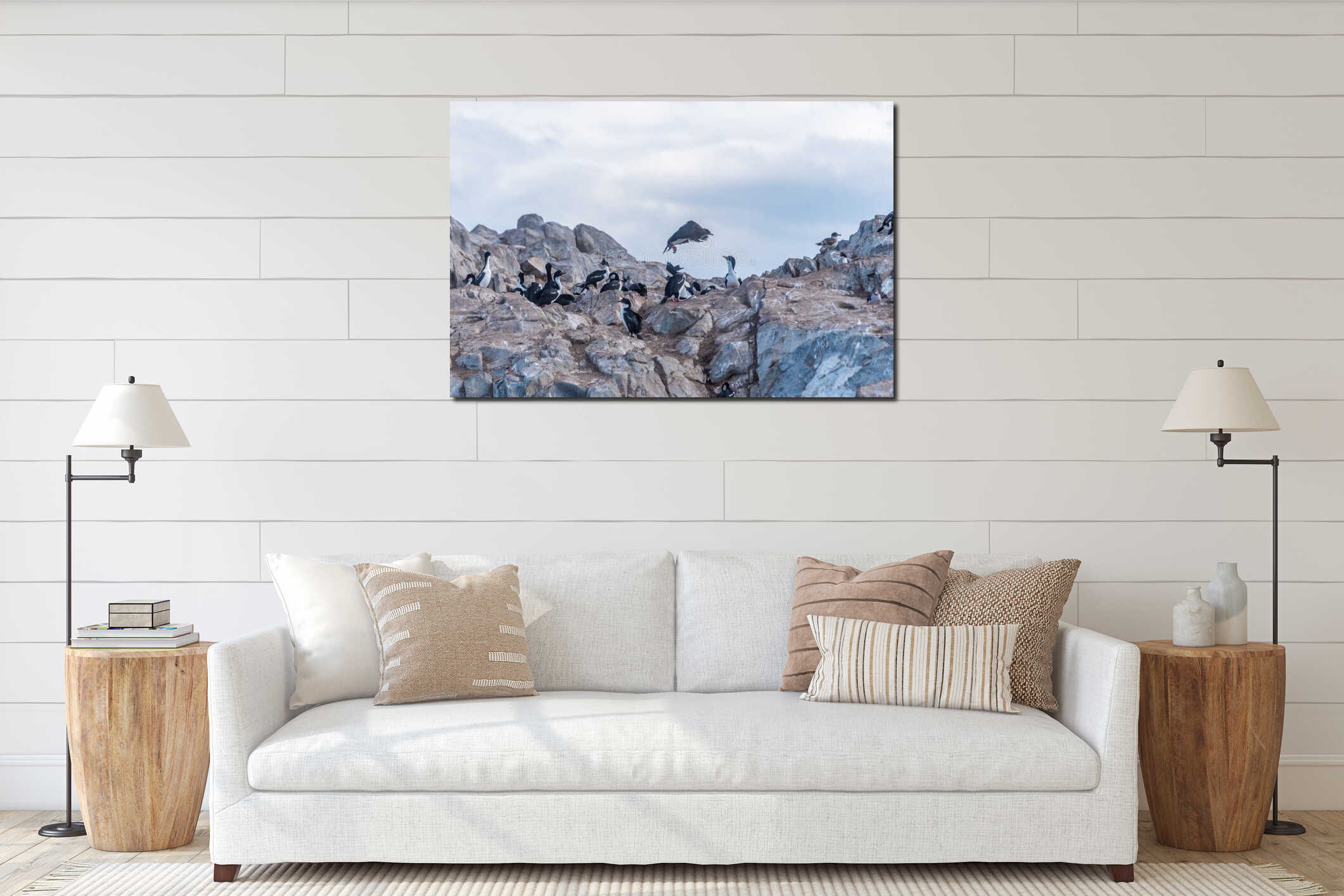 Cormorants and seabirds on rocky cliffs in Beagle Channel, Ushuaia interior mockup