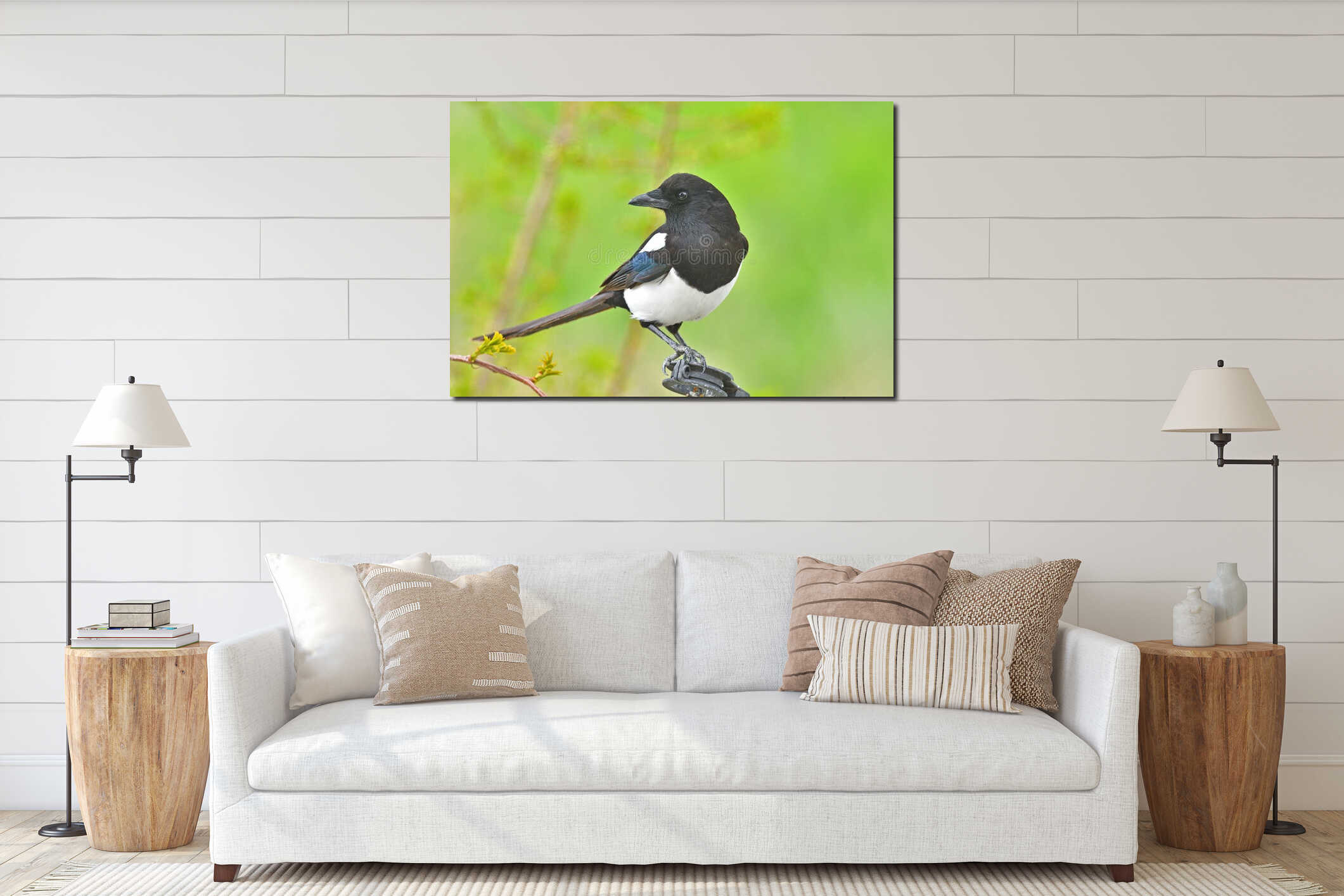 The Eurasian magpie, common magpie (Pica pica). Green background interior mockup
