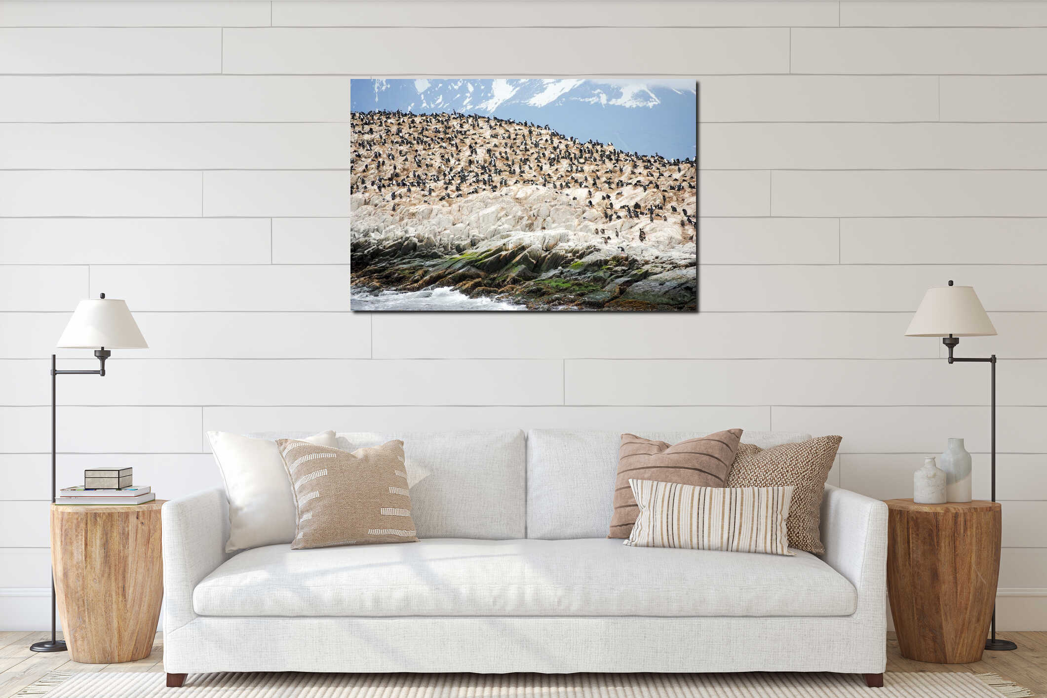 Colony of cormorants perched on a rocky island in the Beagle Channel. Cormorant island interior mockup